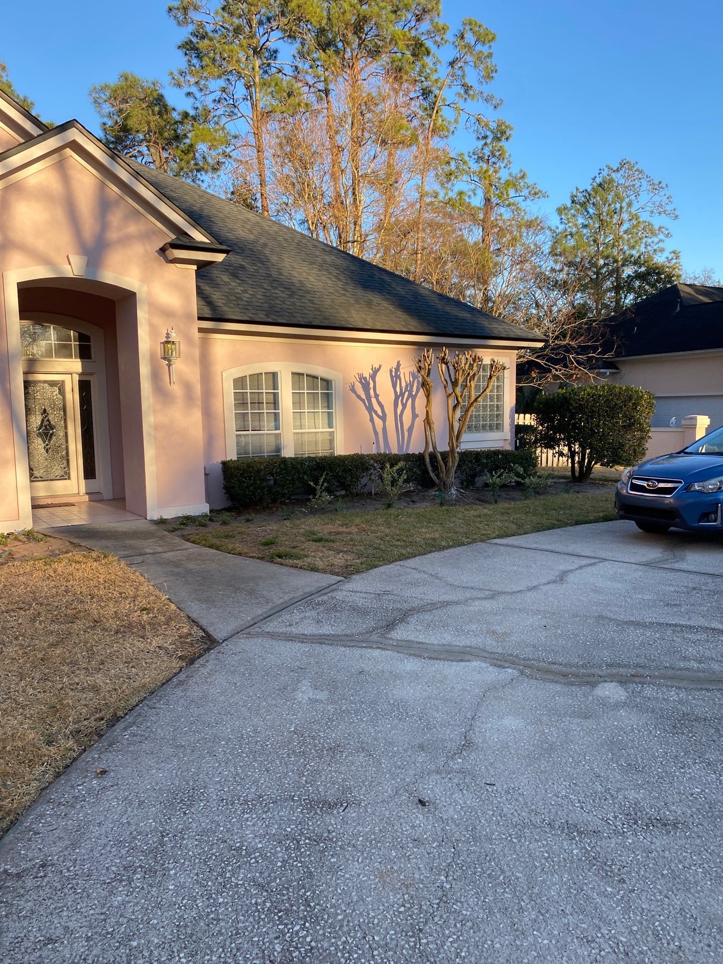 Deerwood Resident | Tree Removal & Clean-Up by ProGreen Services