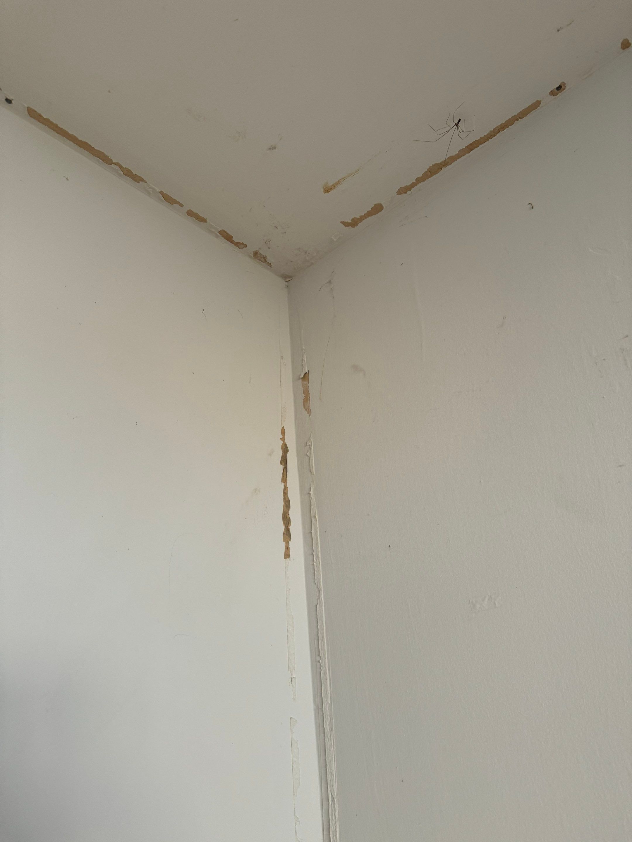 House Renovation - 25th st- West Vancouver by YVR Construction Group