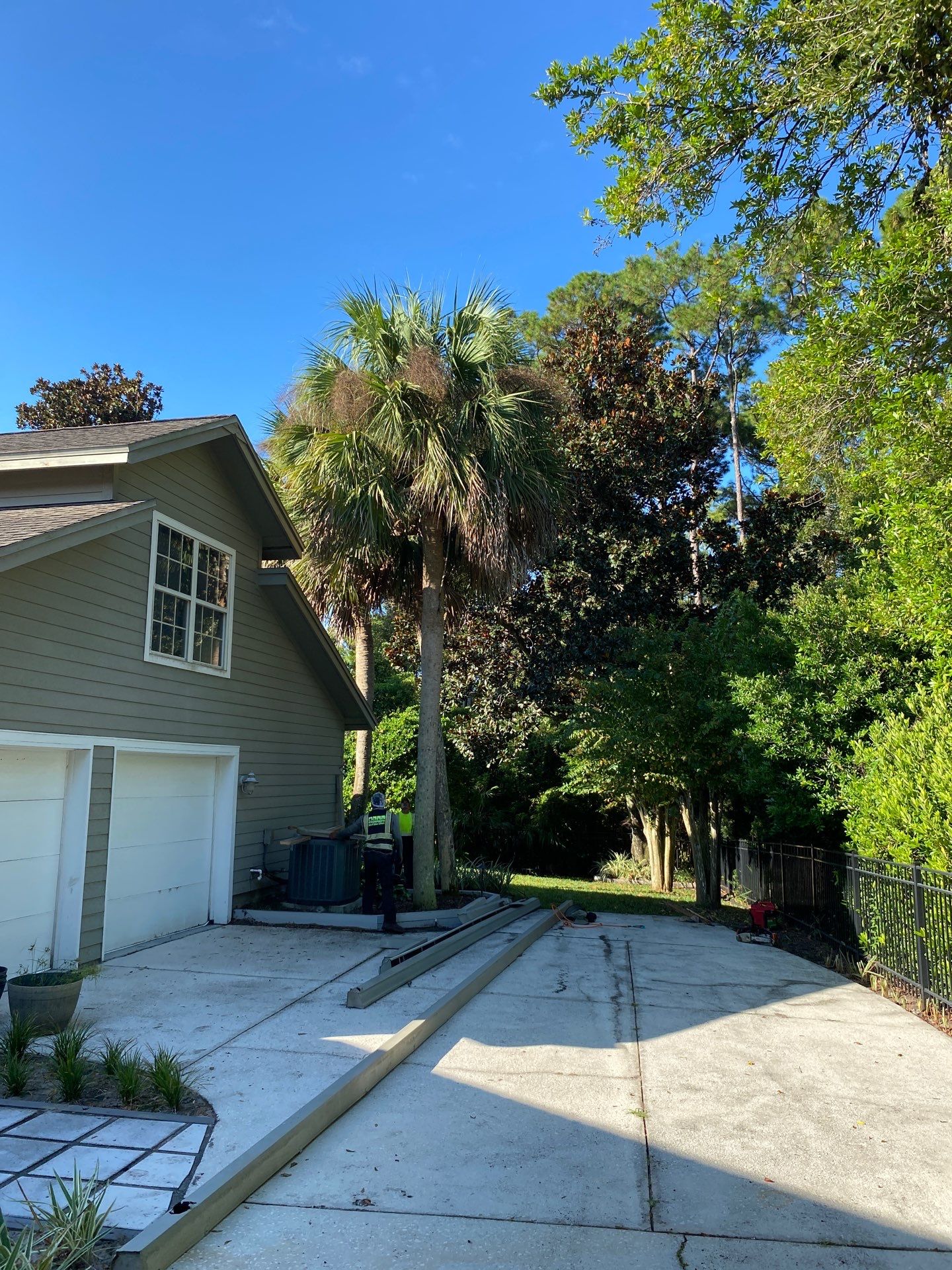 Deerwood Resident | Palm Tree Trimming by ProGreen Services