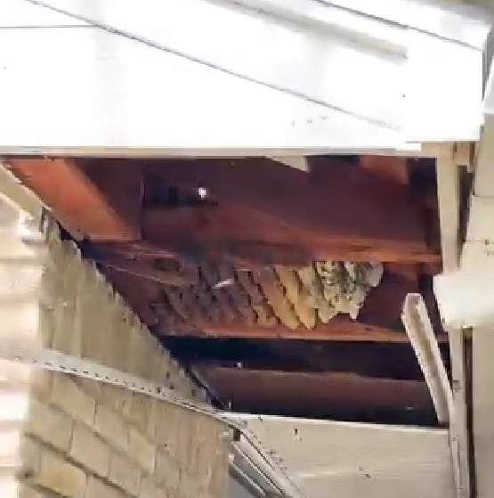 First of 2025 by Rockwall Honey Bee Company