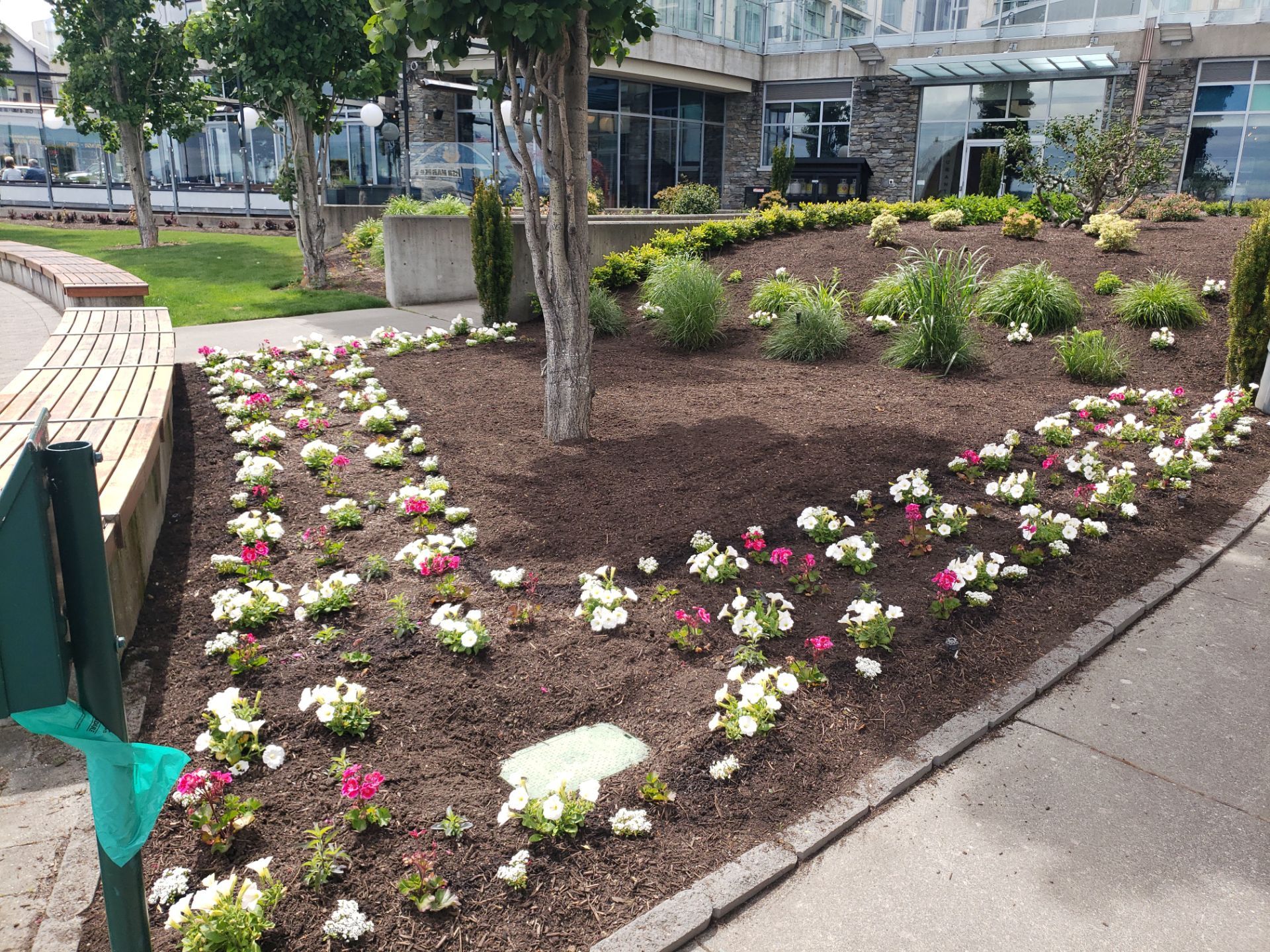 Sidney Pier by Habanero Garden and Exterior Care