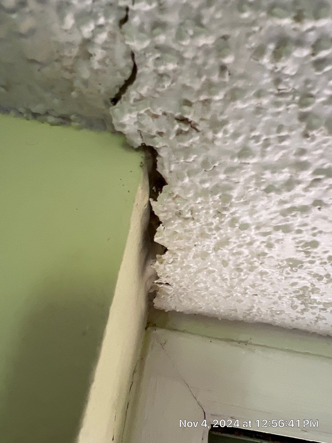 Pebble Springs Mold Remediation by Ampm Restoration Services