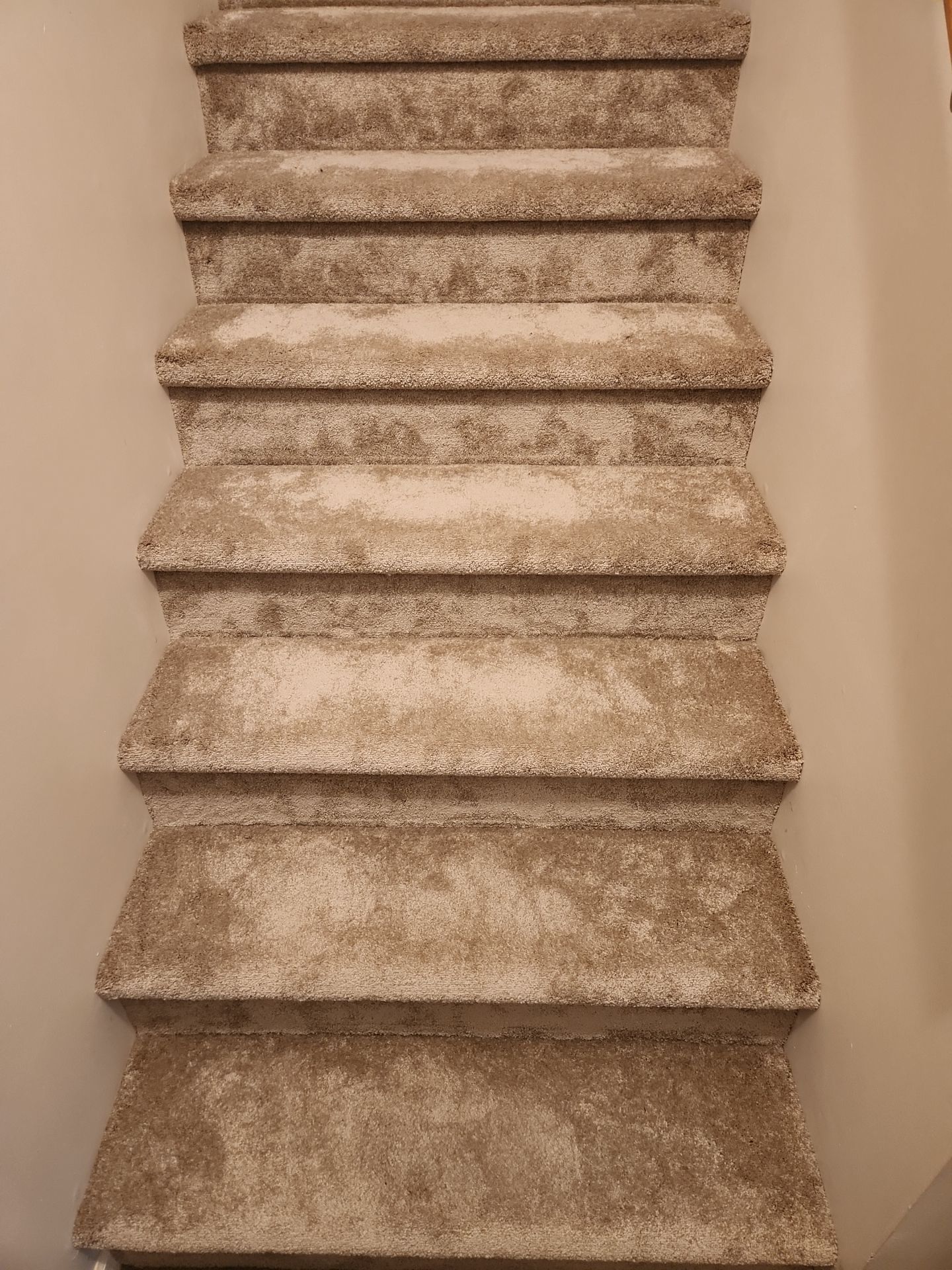 Abby Wenninghoff by FloorCo