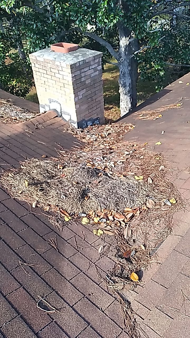 Residential Leak Repair by Indigo State Roofing