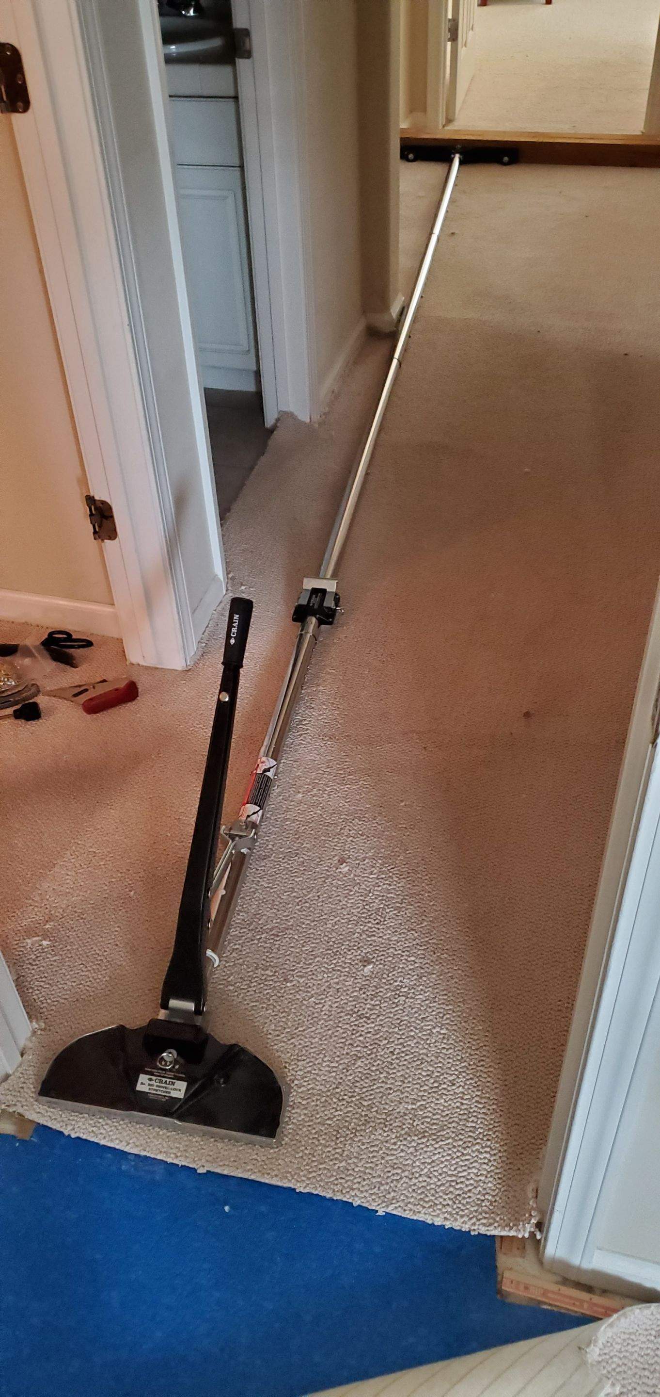Carpet Re-stretch & Cleaning before House Listing by Ardent Carpet Restore LLC