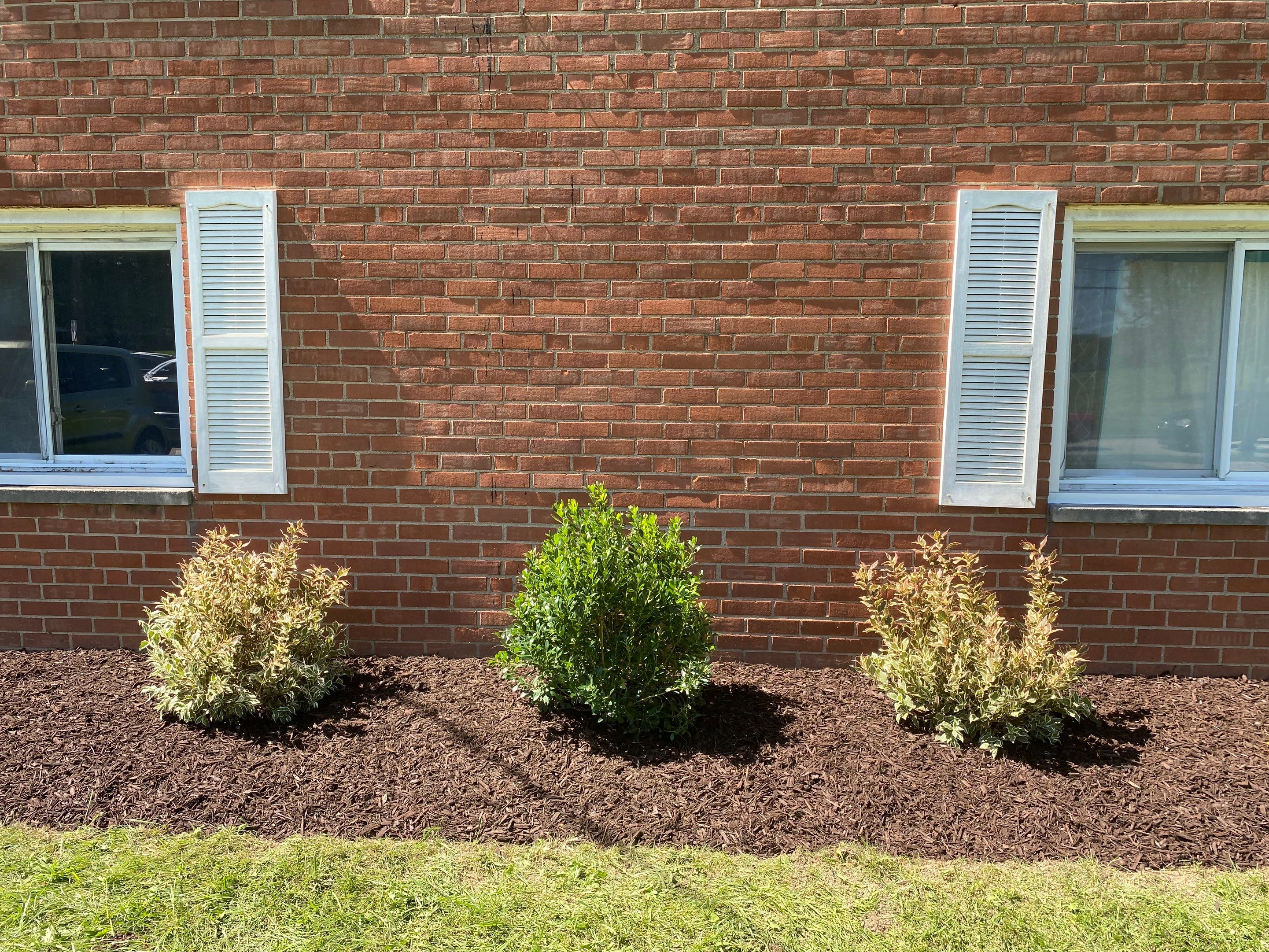 Sale Ready Apartment Project by Elm Rose Gardens