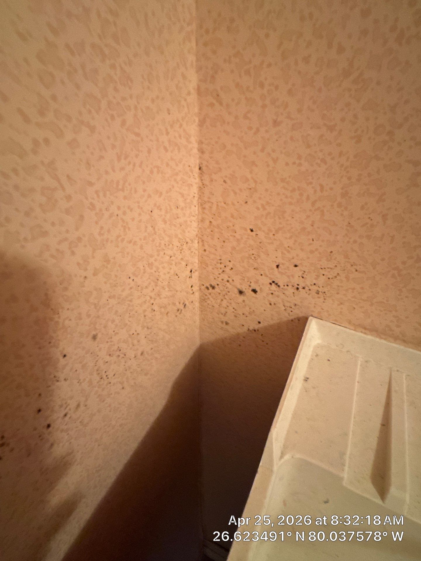 MOLD by SuperClean 