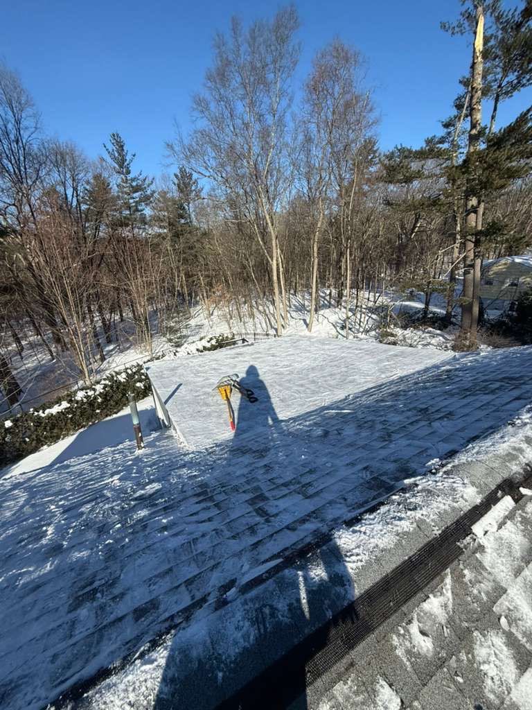 Sow Removal by Mighty Dog Roofing of Greater Middlesex County