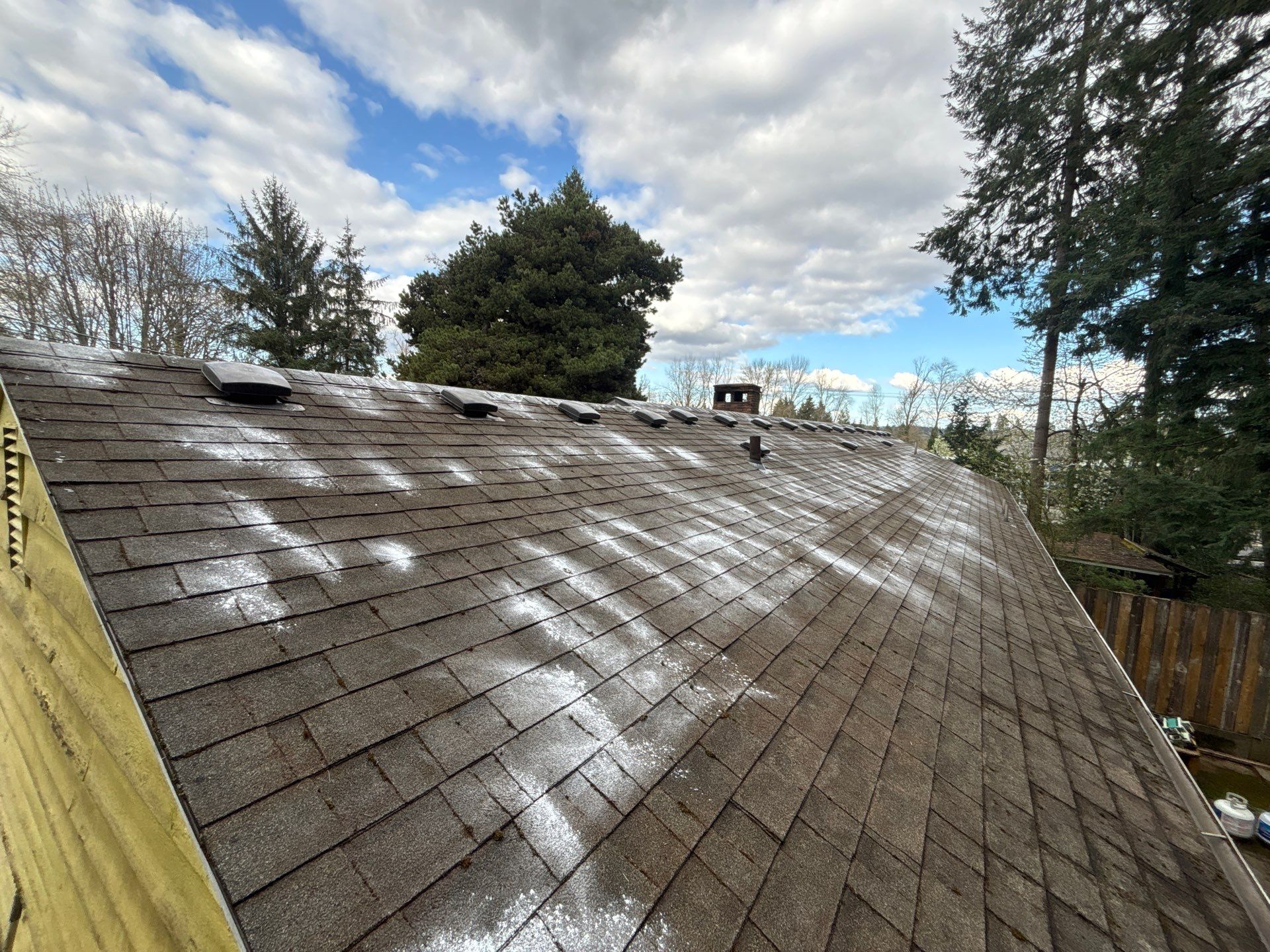 Roof Maintenance in West Linn by Prodigy Roof Solutions