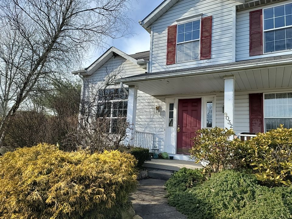 ATLAS PINNACLE COLOR: BLACK SHADOW DRIP EDGE: WHITE by Eagle Eye Roofing