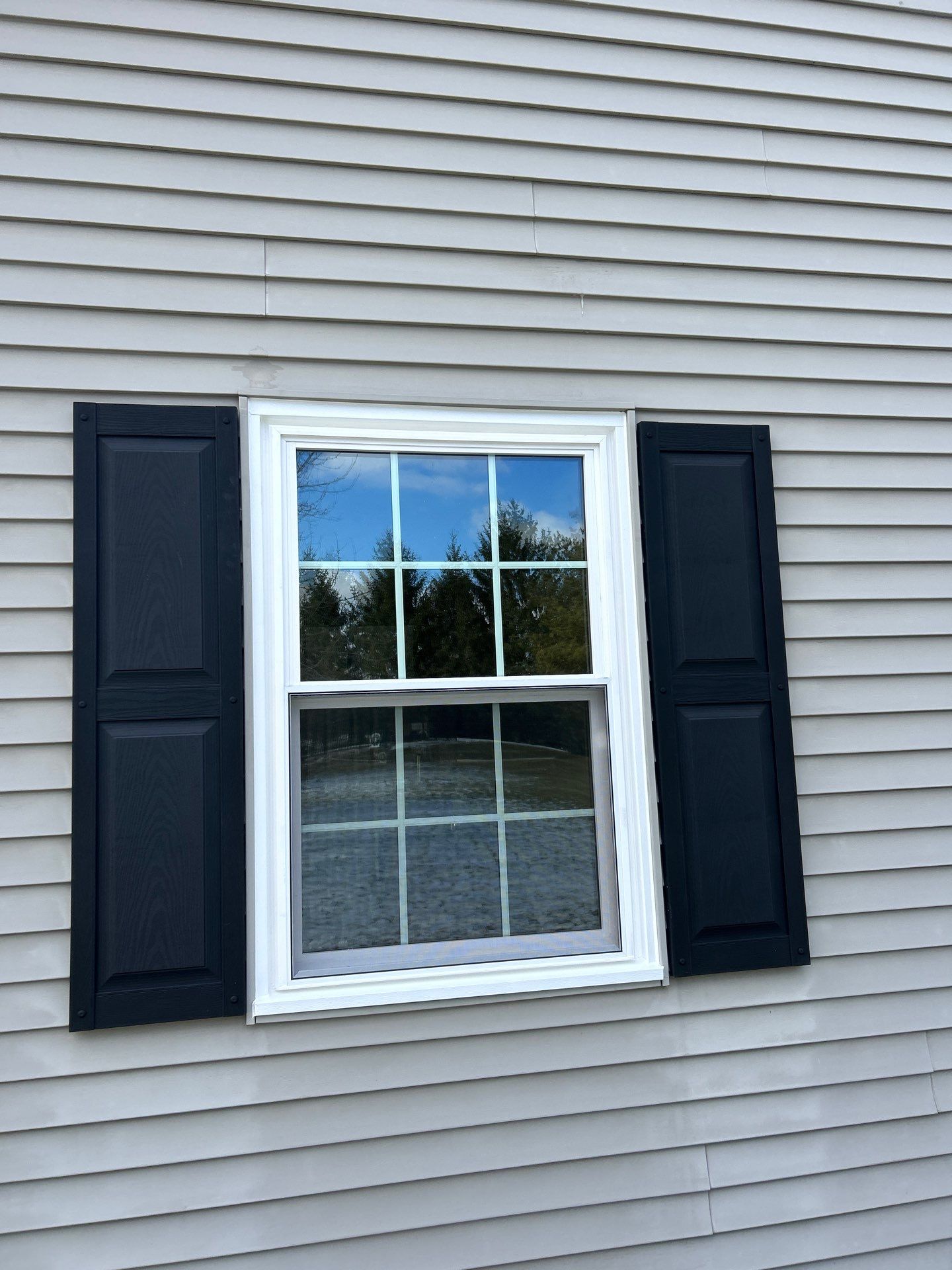 Windows in Louisville by Ohio State Windows