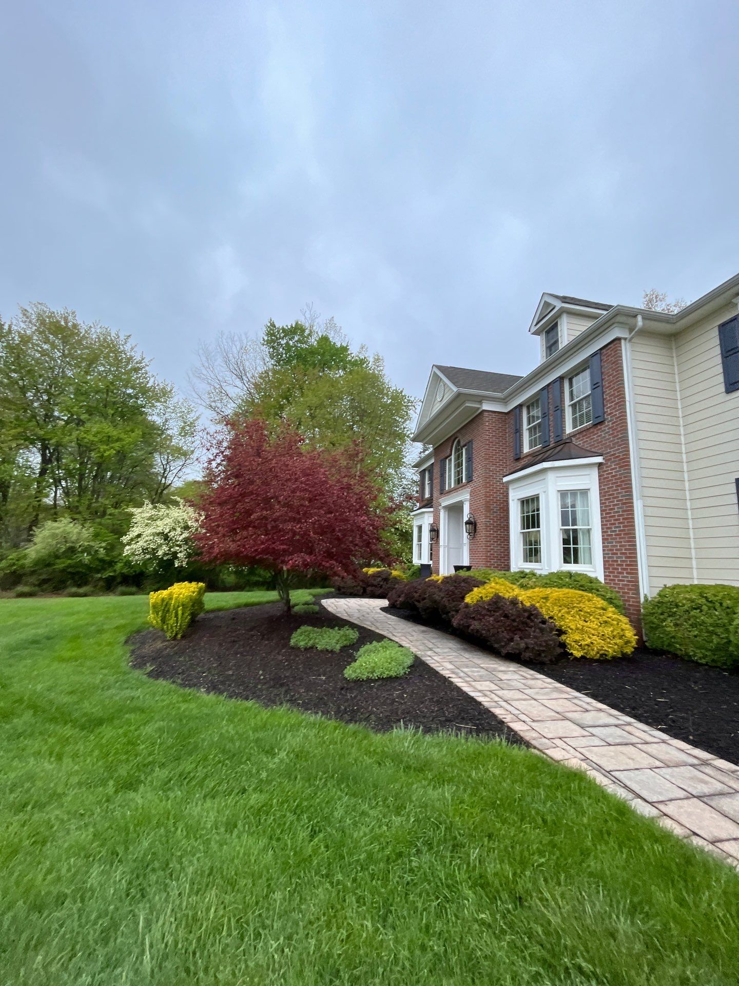 Lawn Care and Shrub Care at a beautiful Bridgewater property by Ants Plants