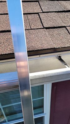 Brand: Atlas Pinnacle Color: Pristine Scotchguard Hickory Drip: Royal Brown