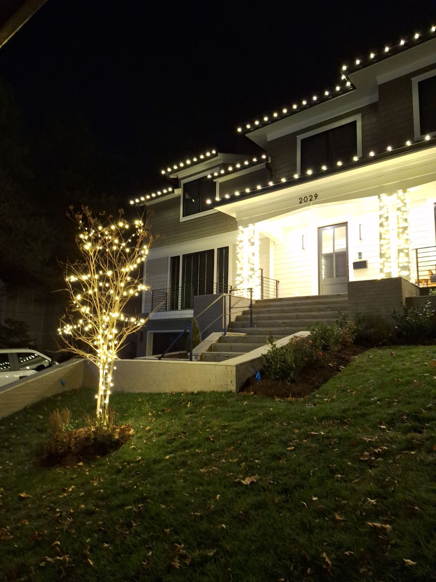 Holiday Lighting in Arlington, VA by My Painter 