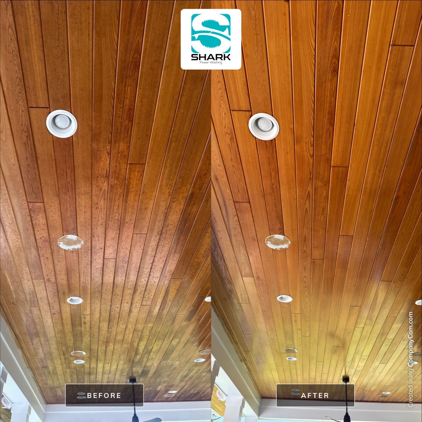 House Washing in Wilmington by Shark Power Washing