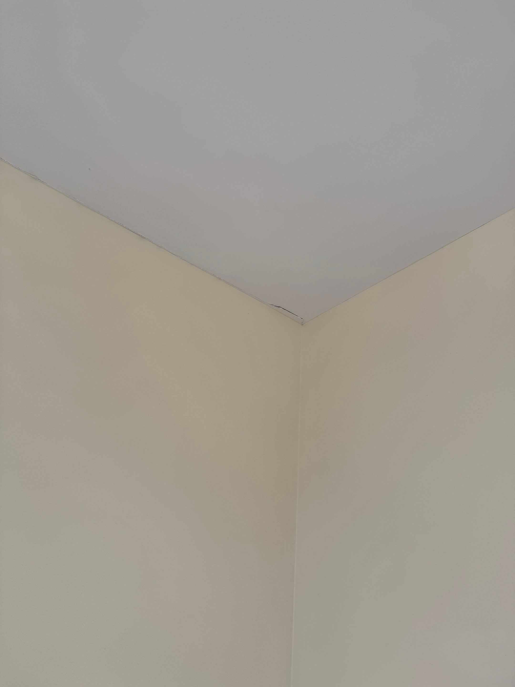 Touch up and painting project  by YVR Construction Group