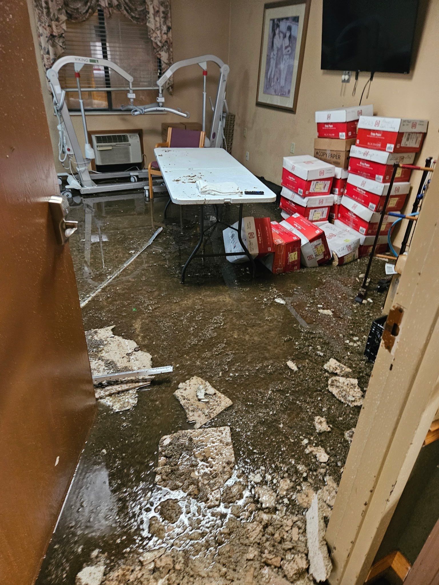 LCCR by BlueRed Restoration