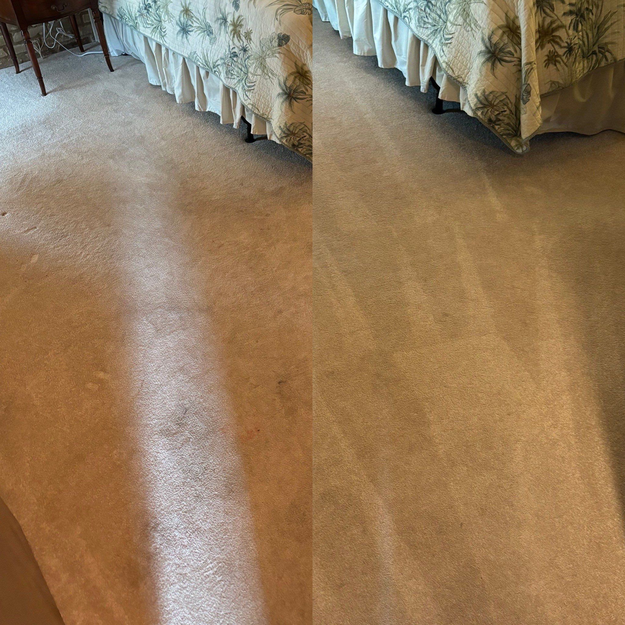 the carpet is being cleaned with a deep cleaning method removing stains and restoring its original color and texture