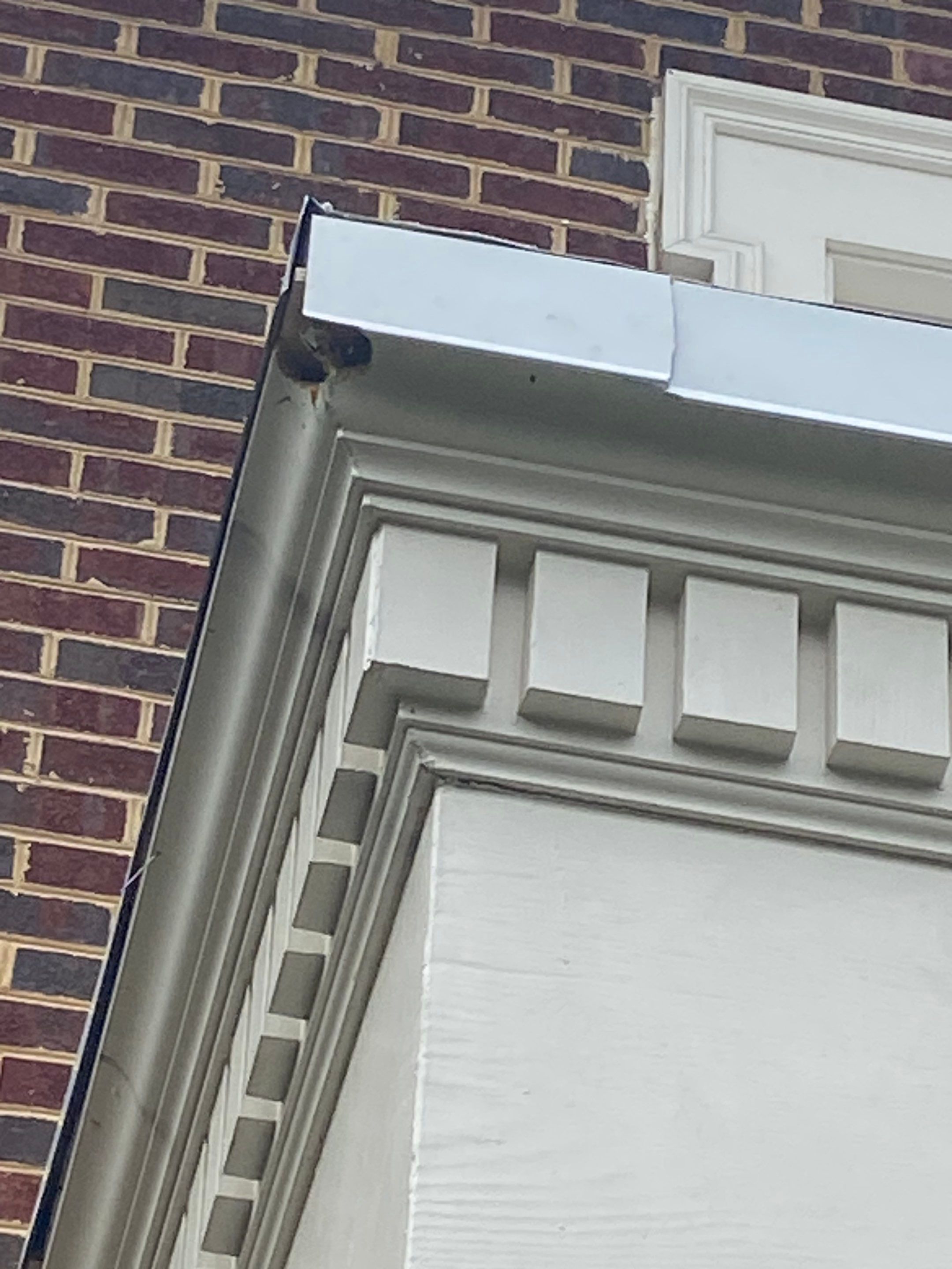 Springfield: CertainTeed Landmark Pro Designer Shingles in Max Def Charcoal Black by RM Banning, Inc.