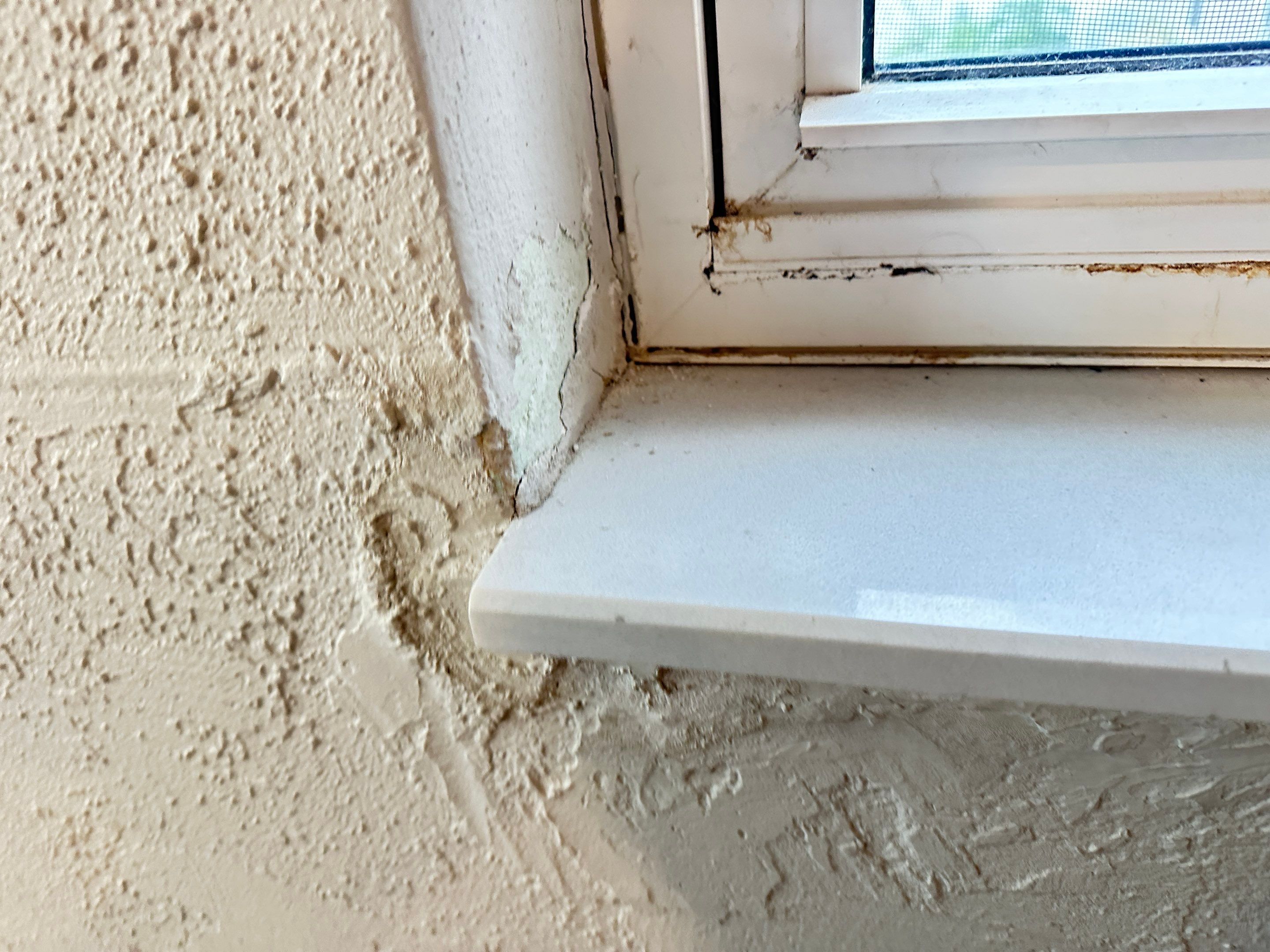 Water Damage Claim in St. Petersburg by FLAPA & KeyStone