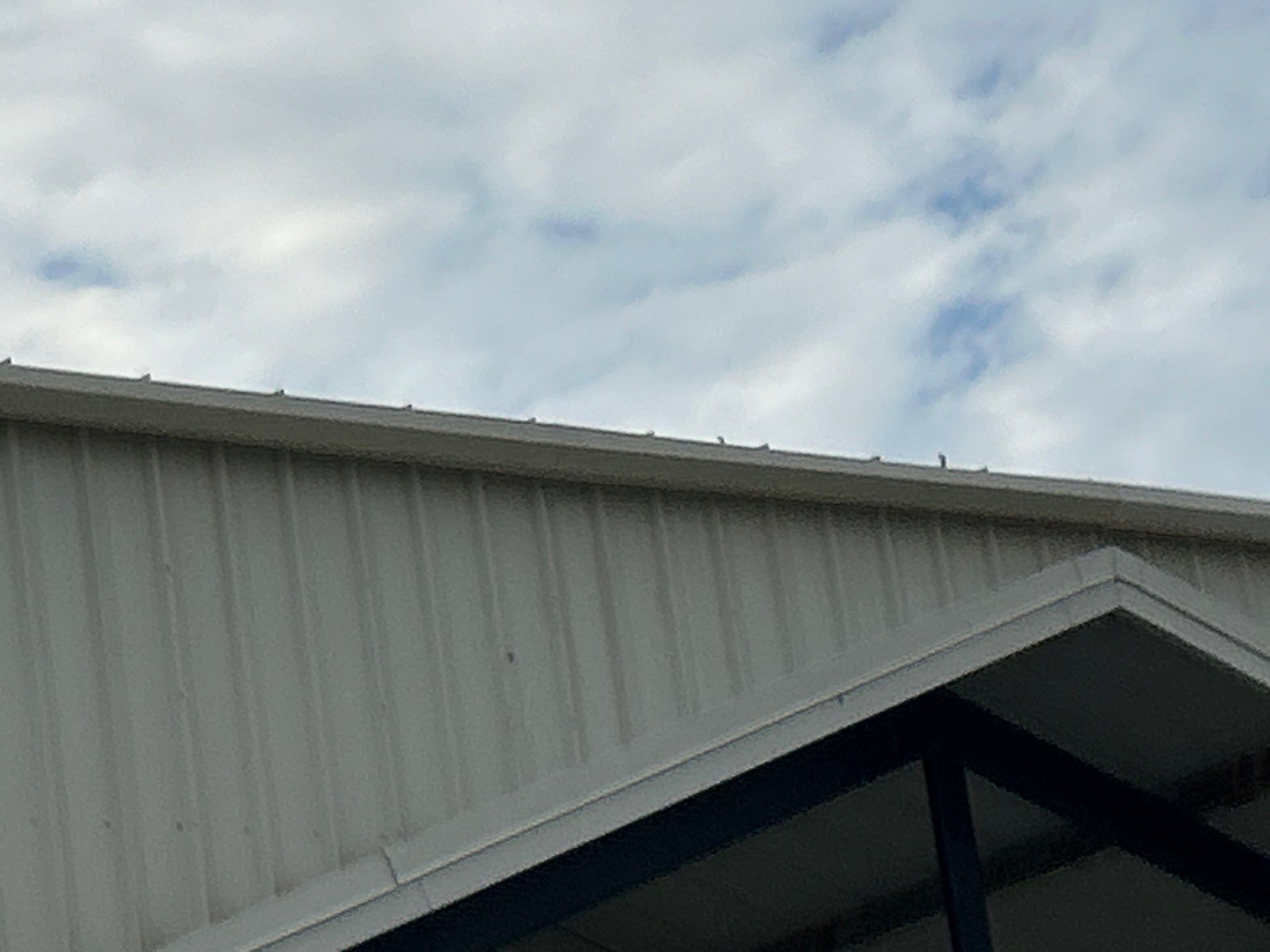 Gutter Cleaning Services in Fort Myers FL by Gutter Professors