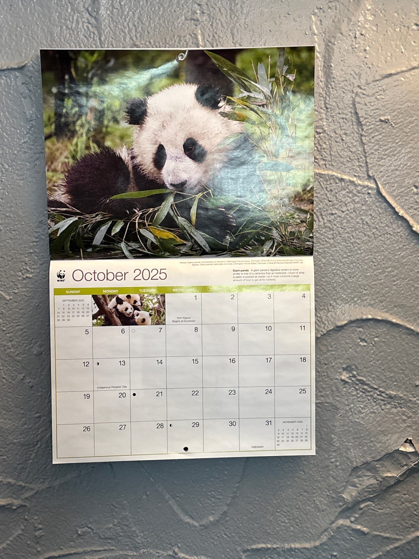 Drew by CompanyCam | Account Management Demo Account