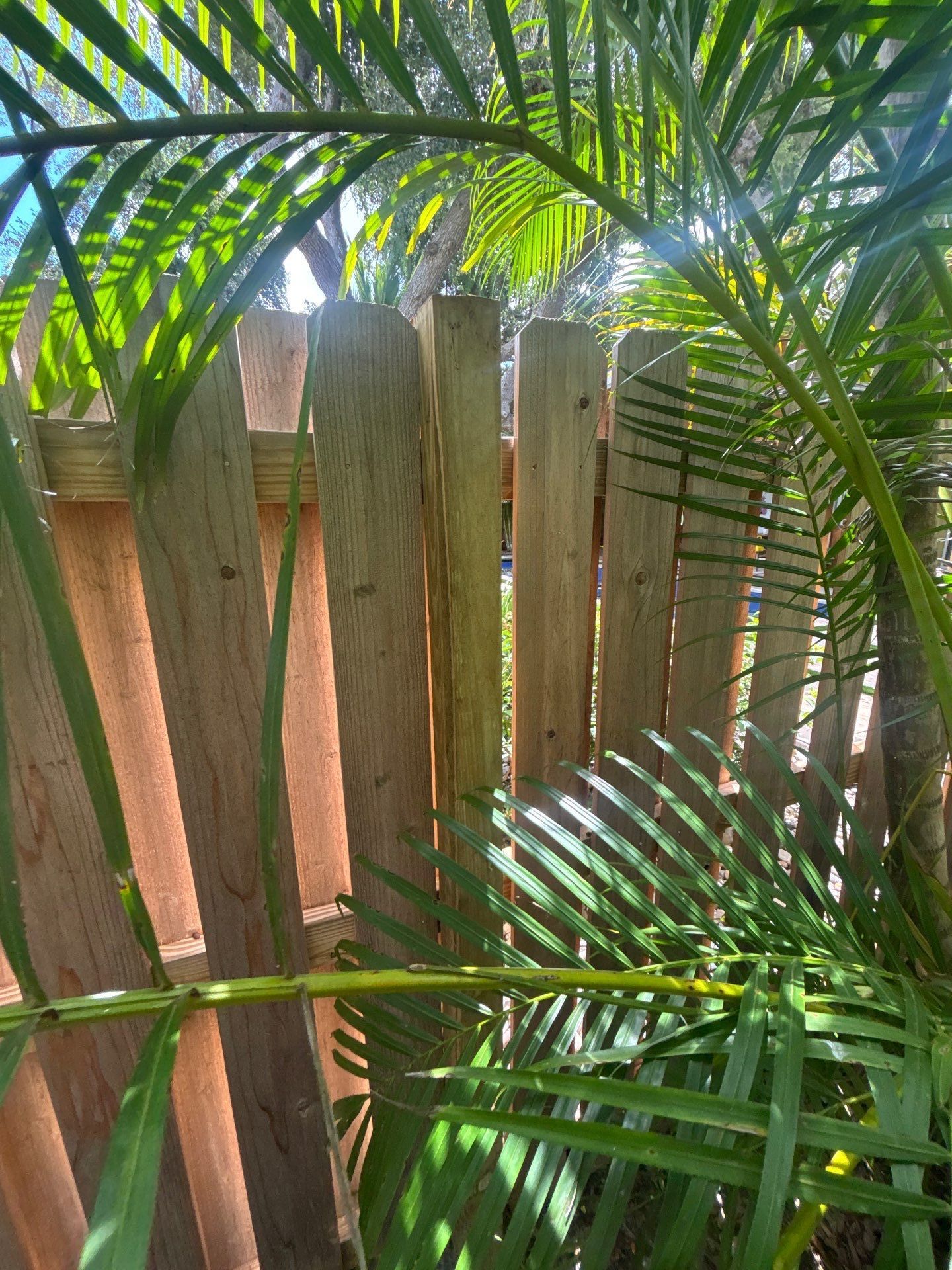 1824 Magnolia St  by H&Y Fence
