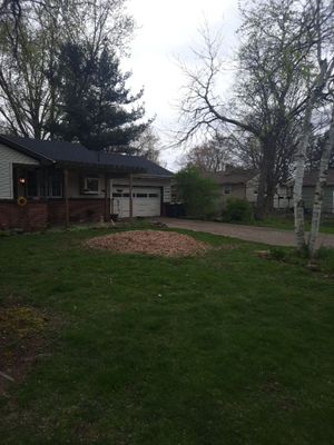 Tree Removal using Tree Removal