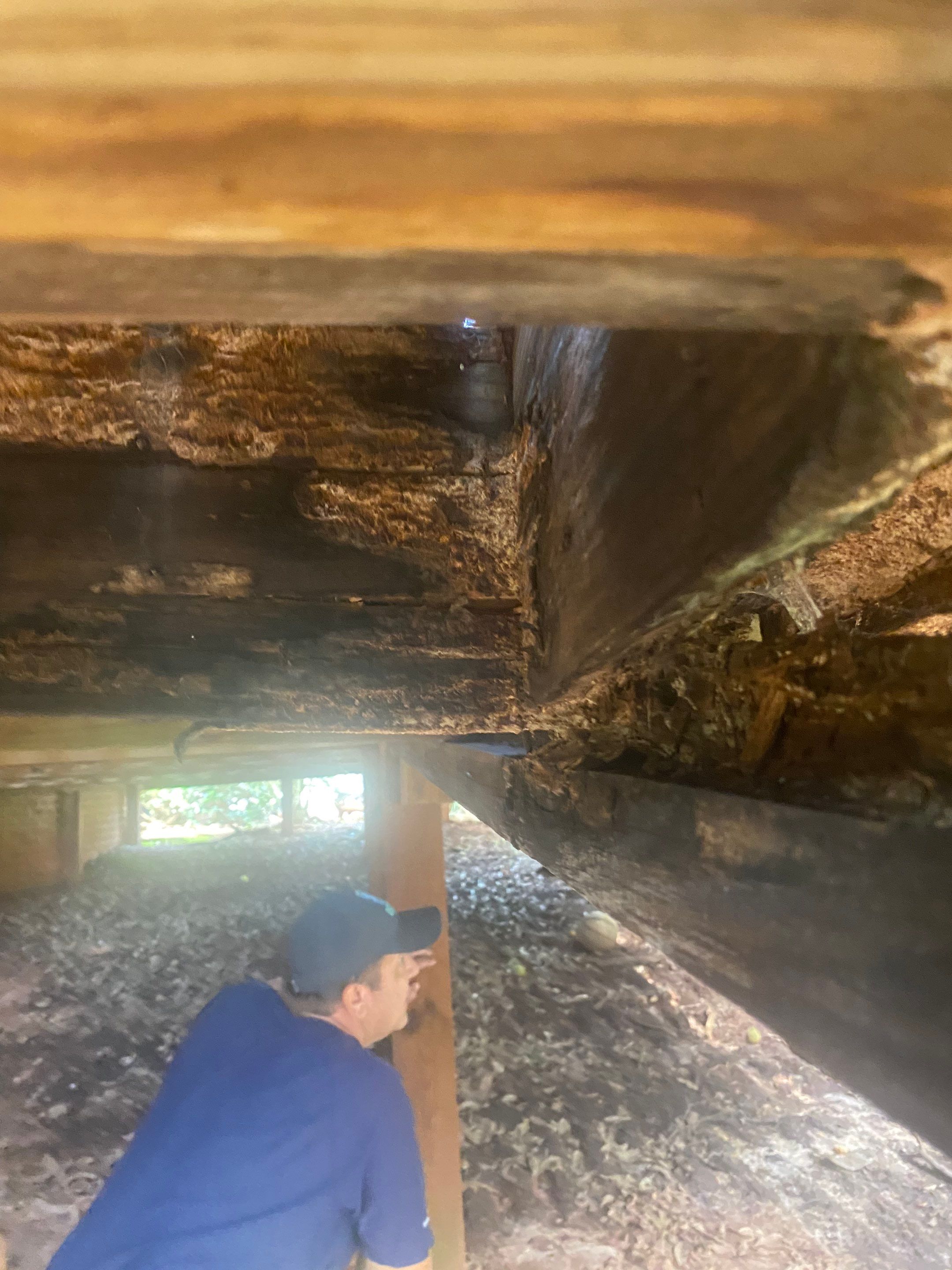 Deck Restoration in Watkinsville by Baxter Professional LLC