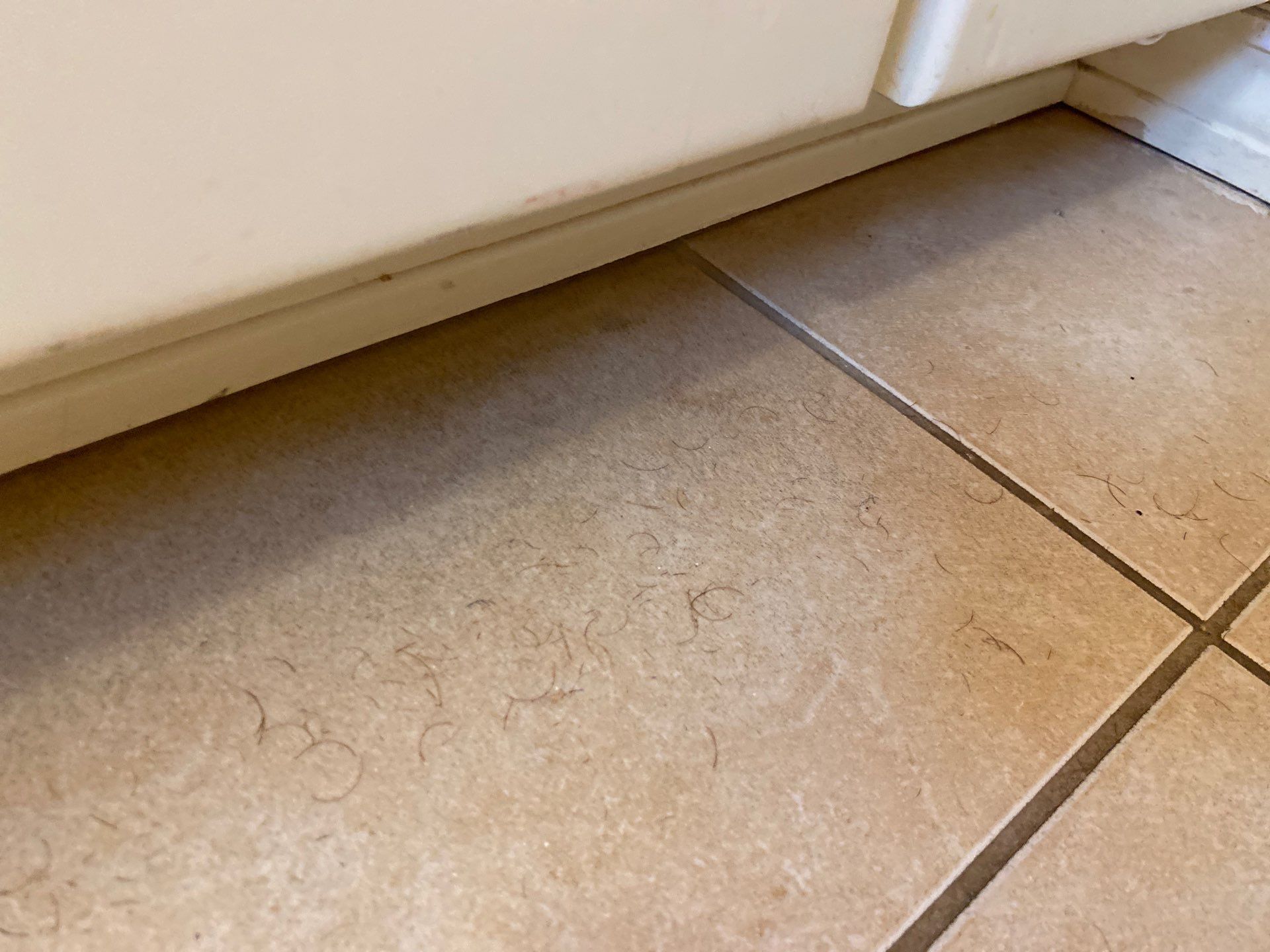 House cleaning in Lake Oswego by Cloud 9 Professional Cleaning Services