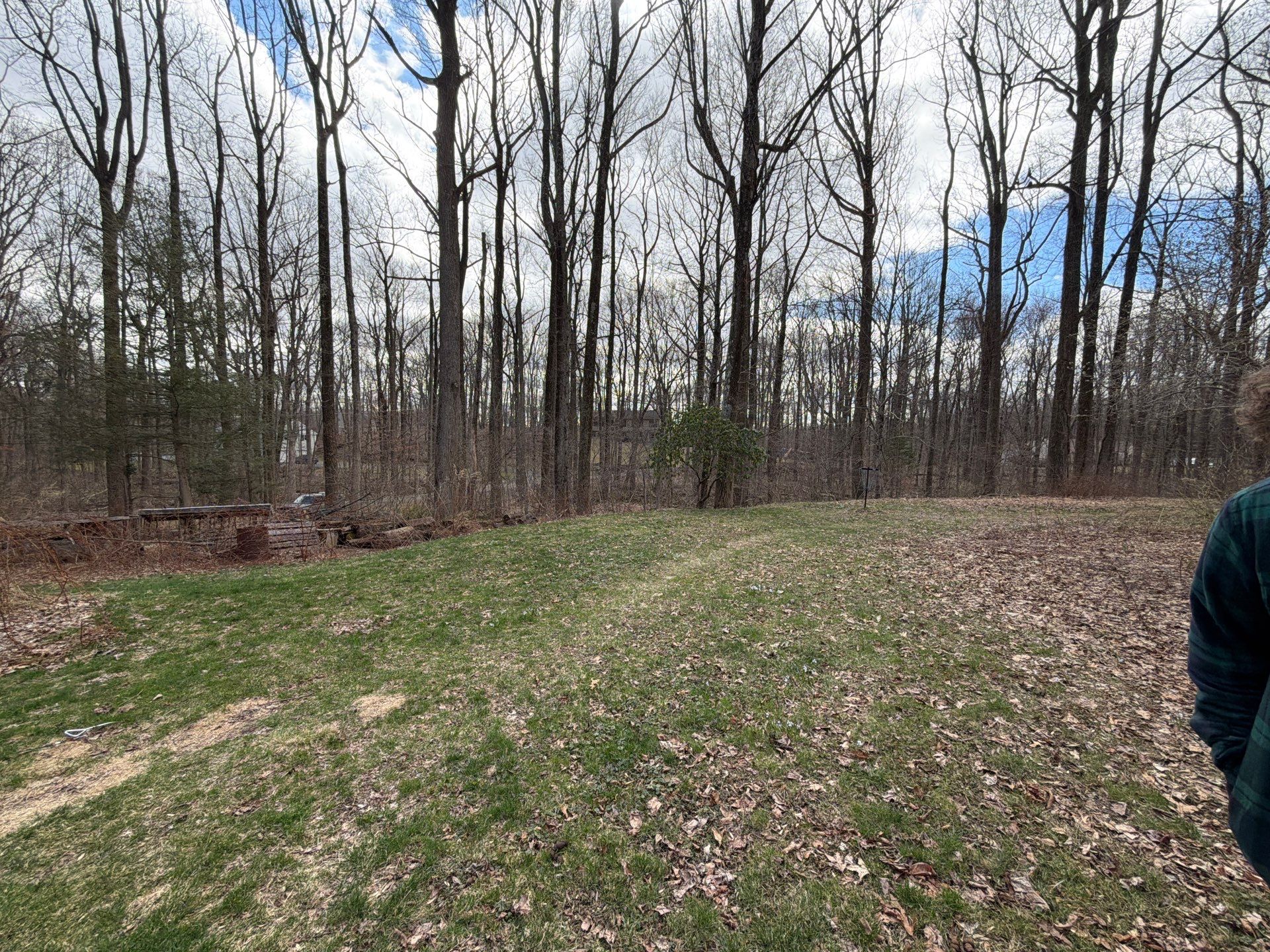 Completed Spring Yard Cleanup at a Prospect, Connecticut Property by Diamond Image LLC