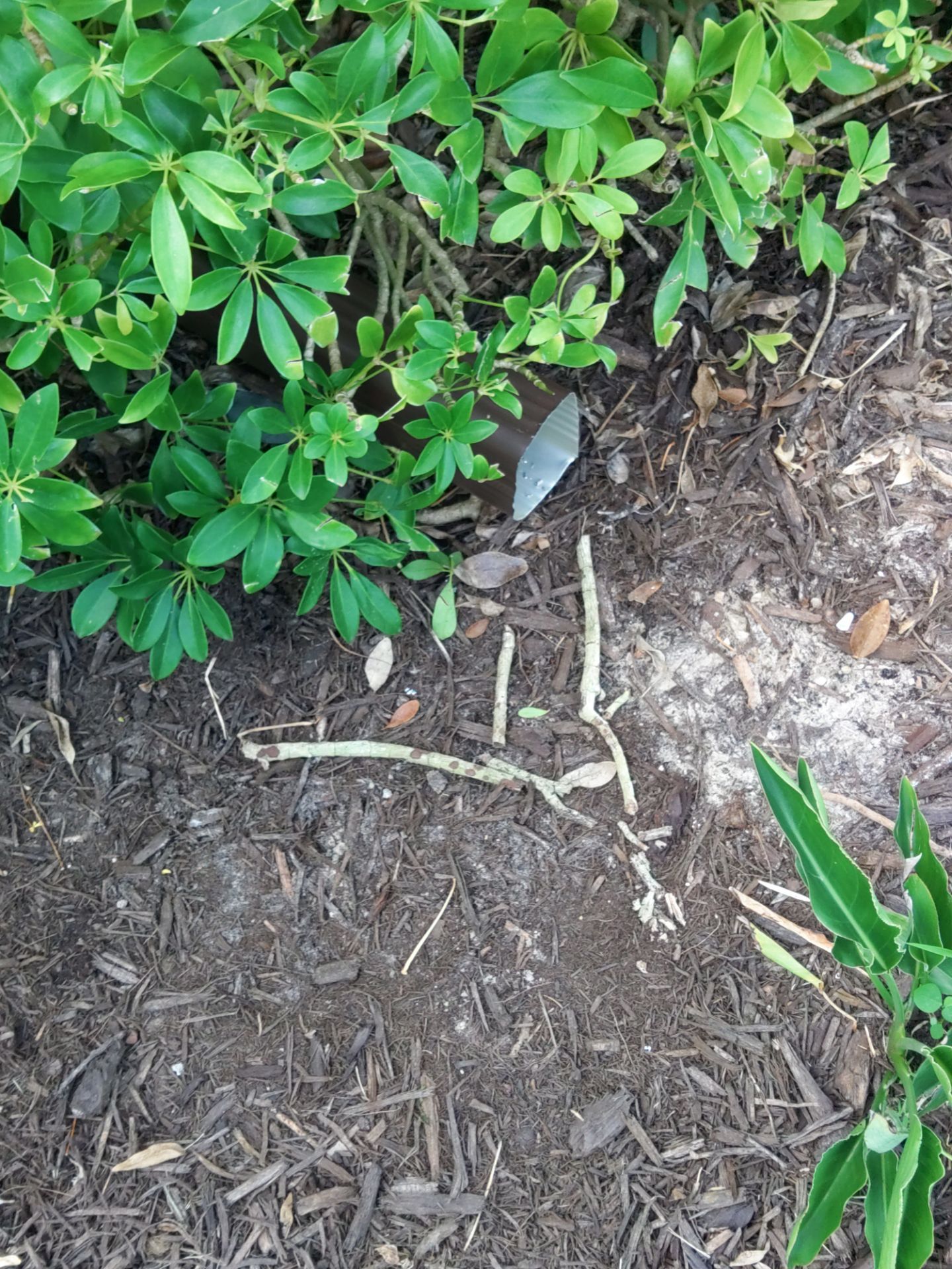 Gutter Inspection and Repair in Naples FL by Gutter Professors