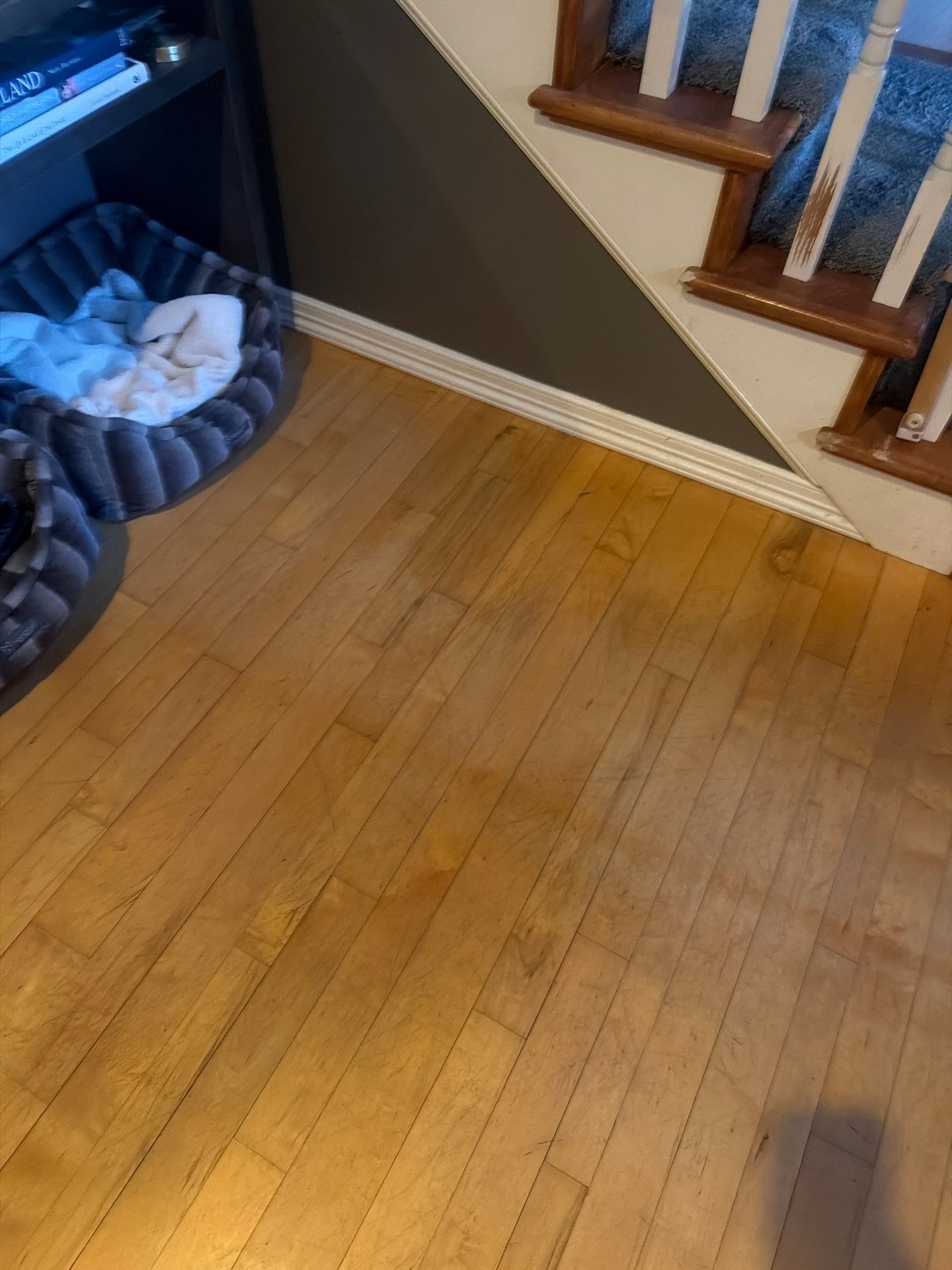 Maid service cleaning Project in Tigard by Cloud 9 Professional Cleaning Services