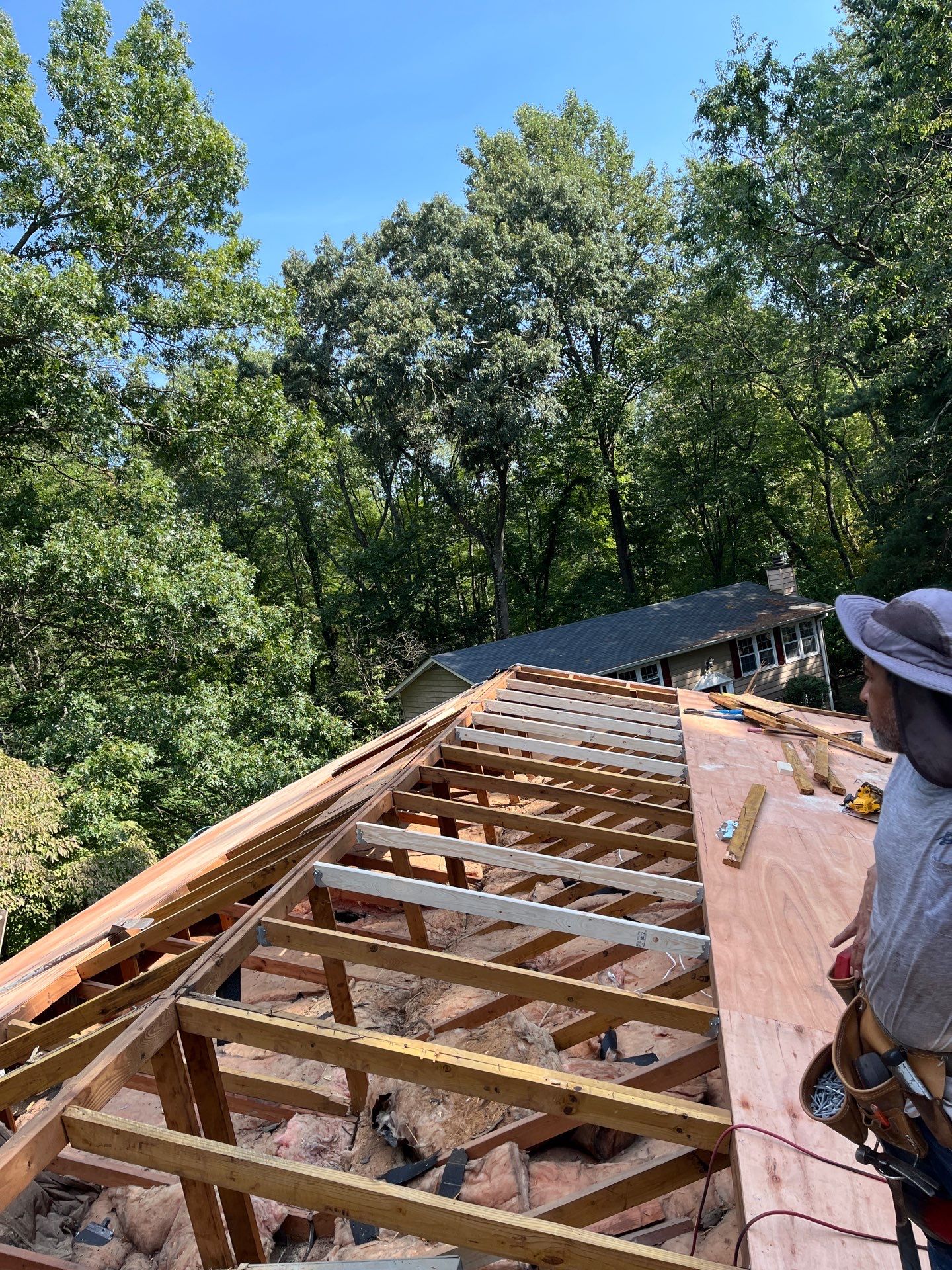 Reston: Roof Replacement with CertainTeed Landmark Pro Designer Shingles in Max Def Moire Black by RM Banning, Inc.