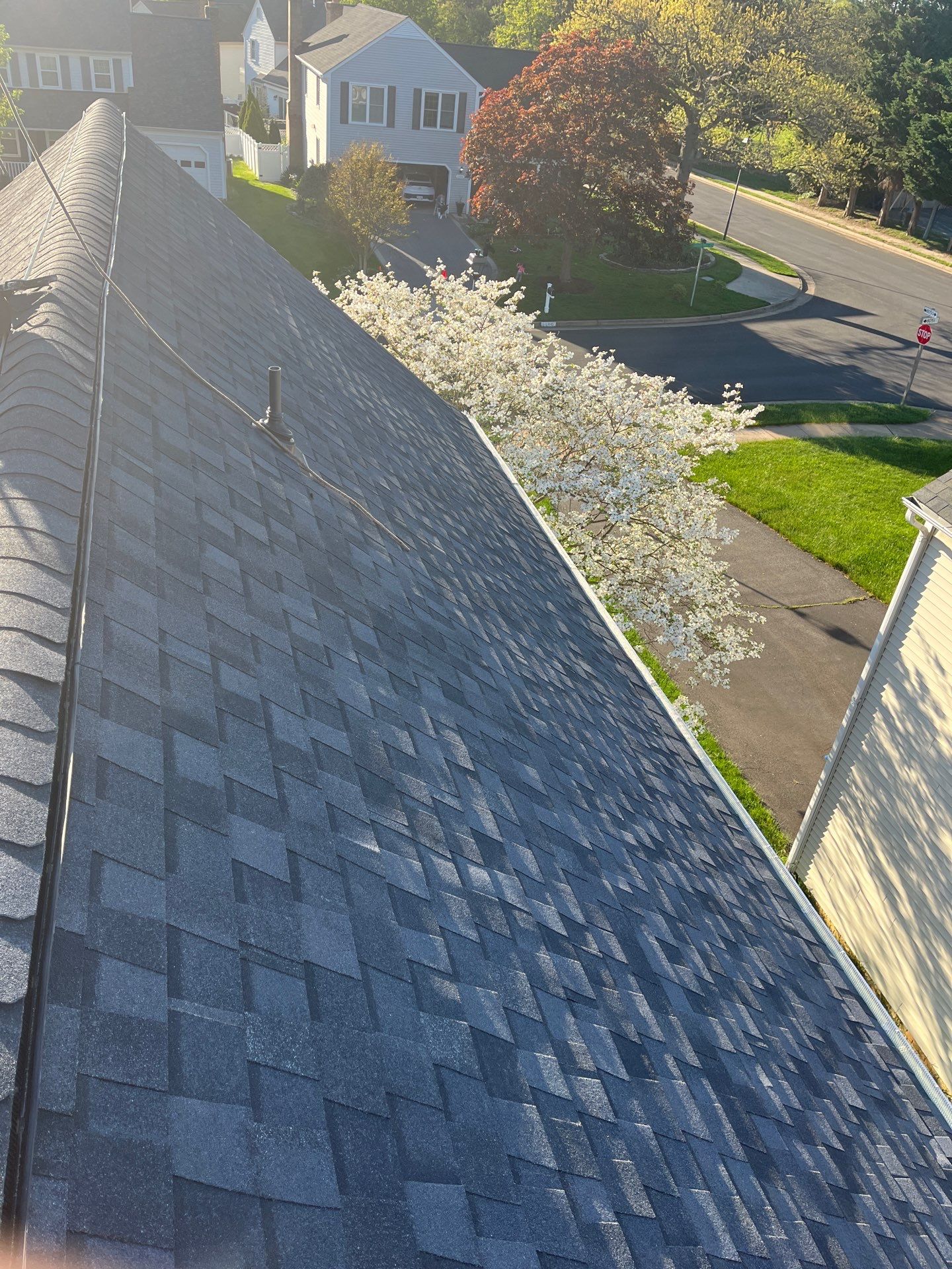 Vienna: CertainTeed Landmark Pro Designer Shingles in Max Def Moire Black by RM Banning, Inc.