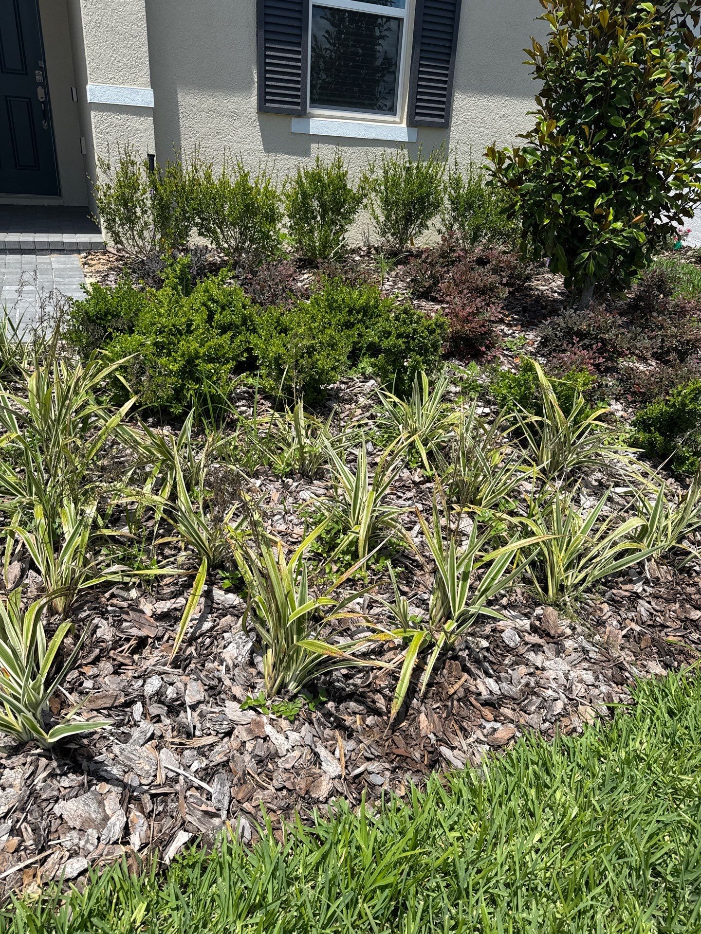 Renovacion de Patio by CompanyCam Help Articles Test