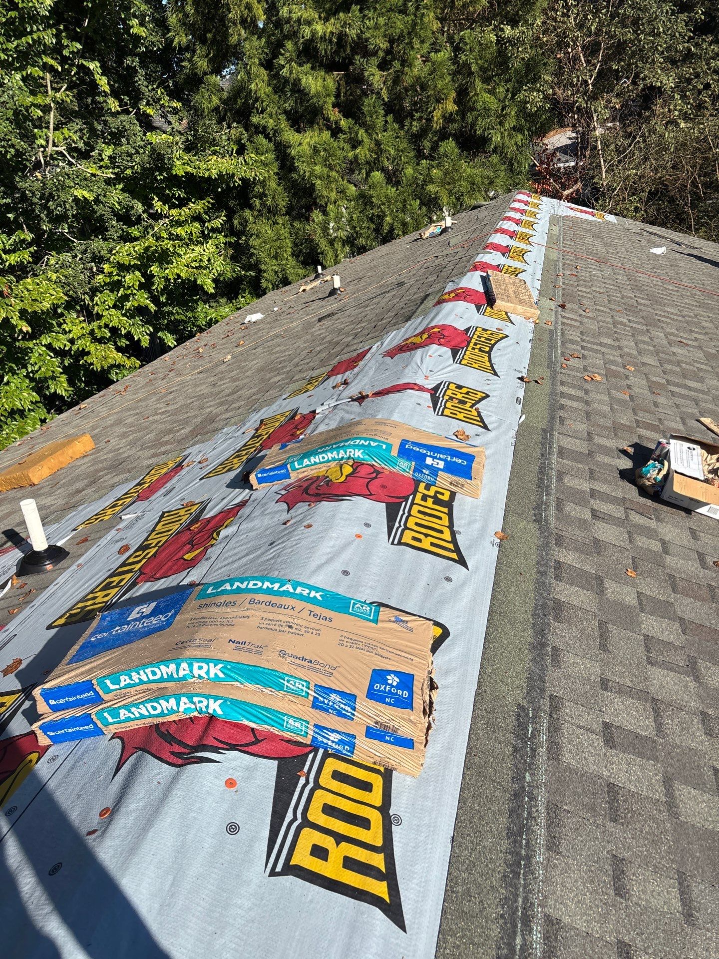 Architectural Shingle Roof Replacement by Roofsters