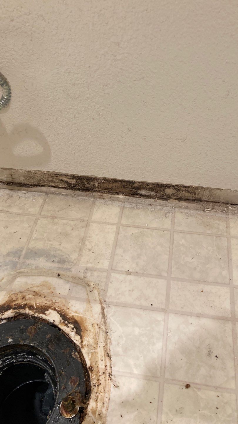Various Plumbing & Flooring Tasks by Bayfront Home Repair