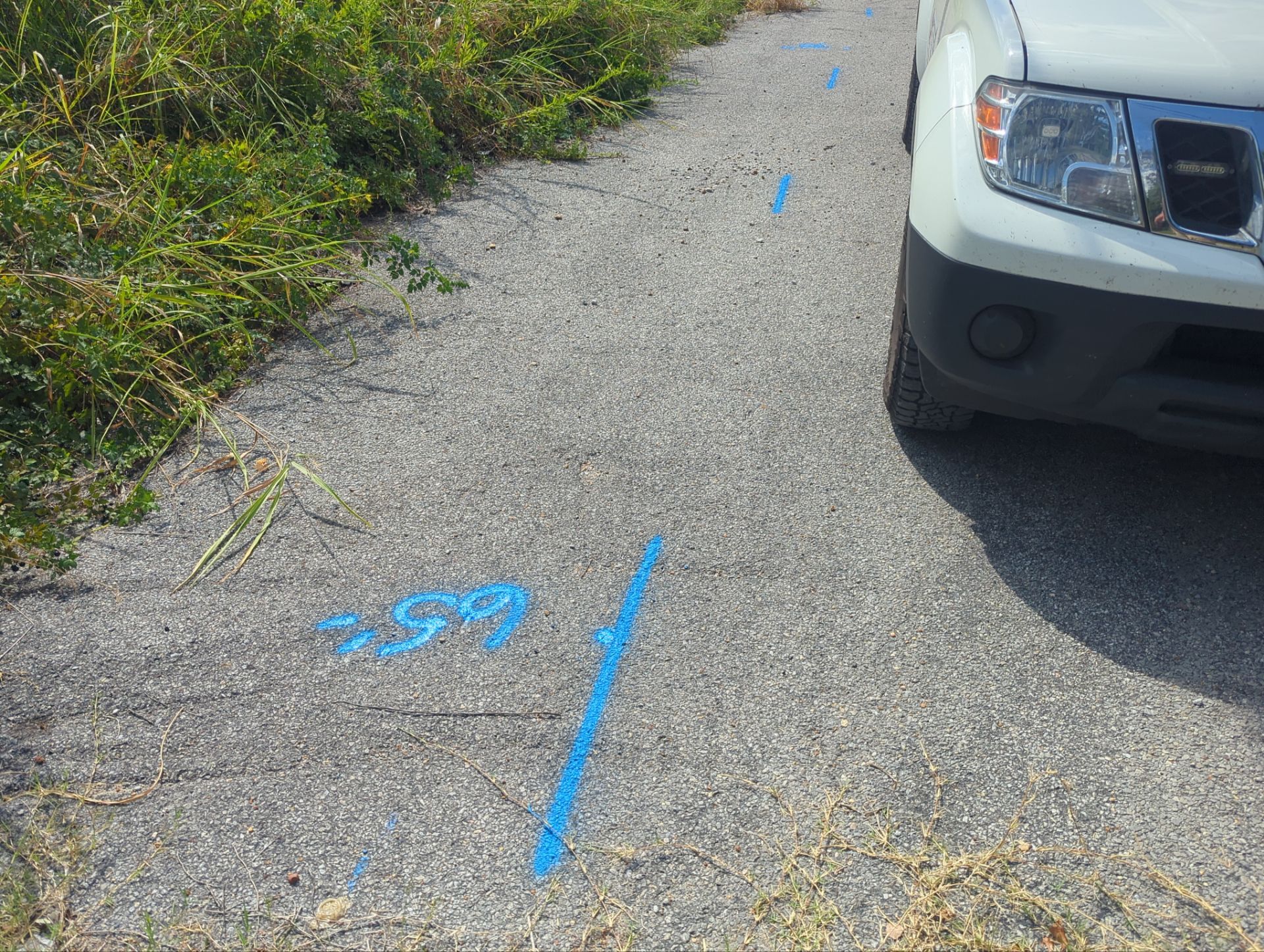 Utility Locate and Utility Mapping for Survey by Alsip Locating Service, LLC