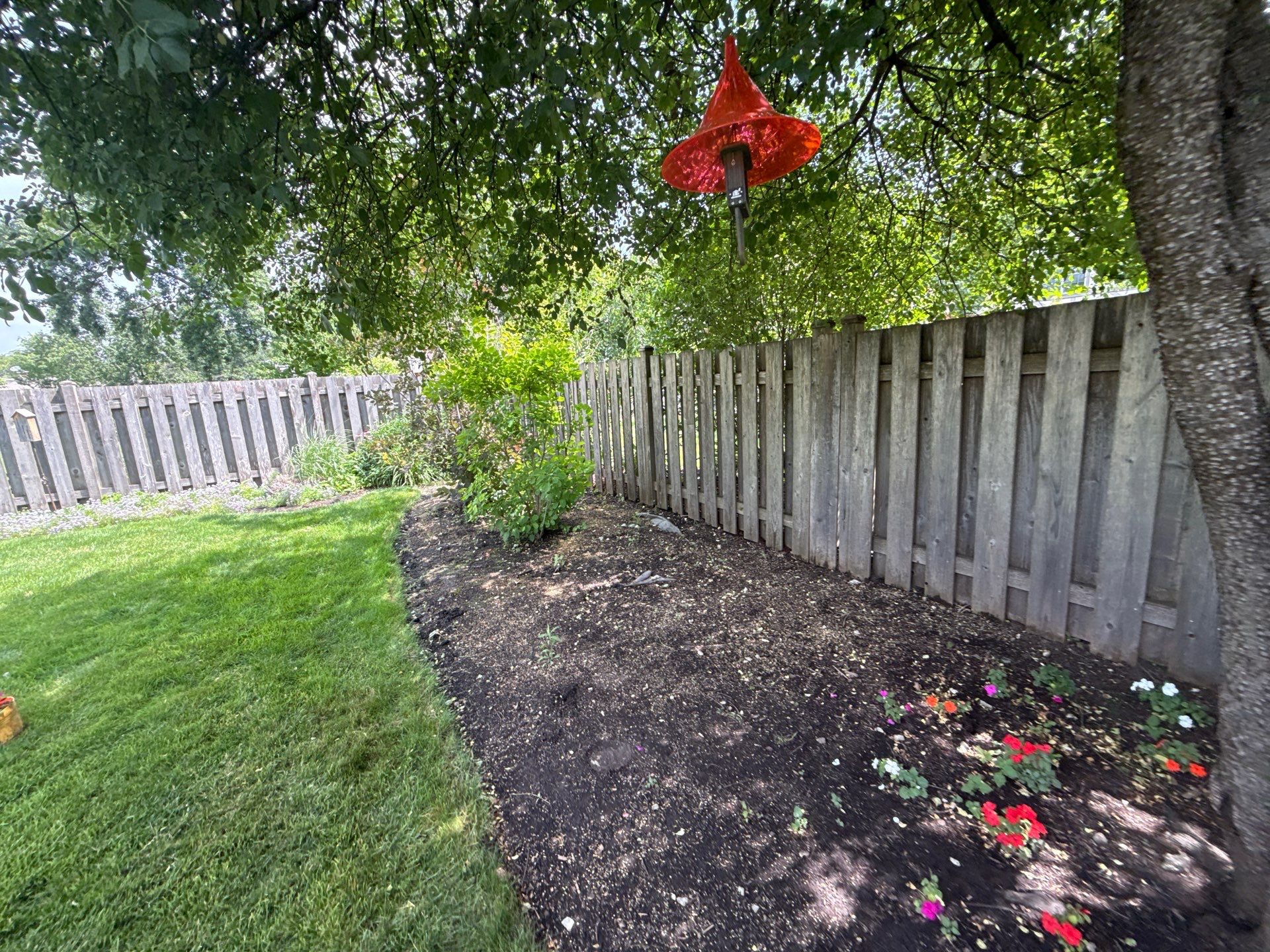 Cheris B. - Mount Prospect, IL by A&N 