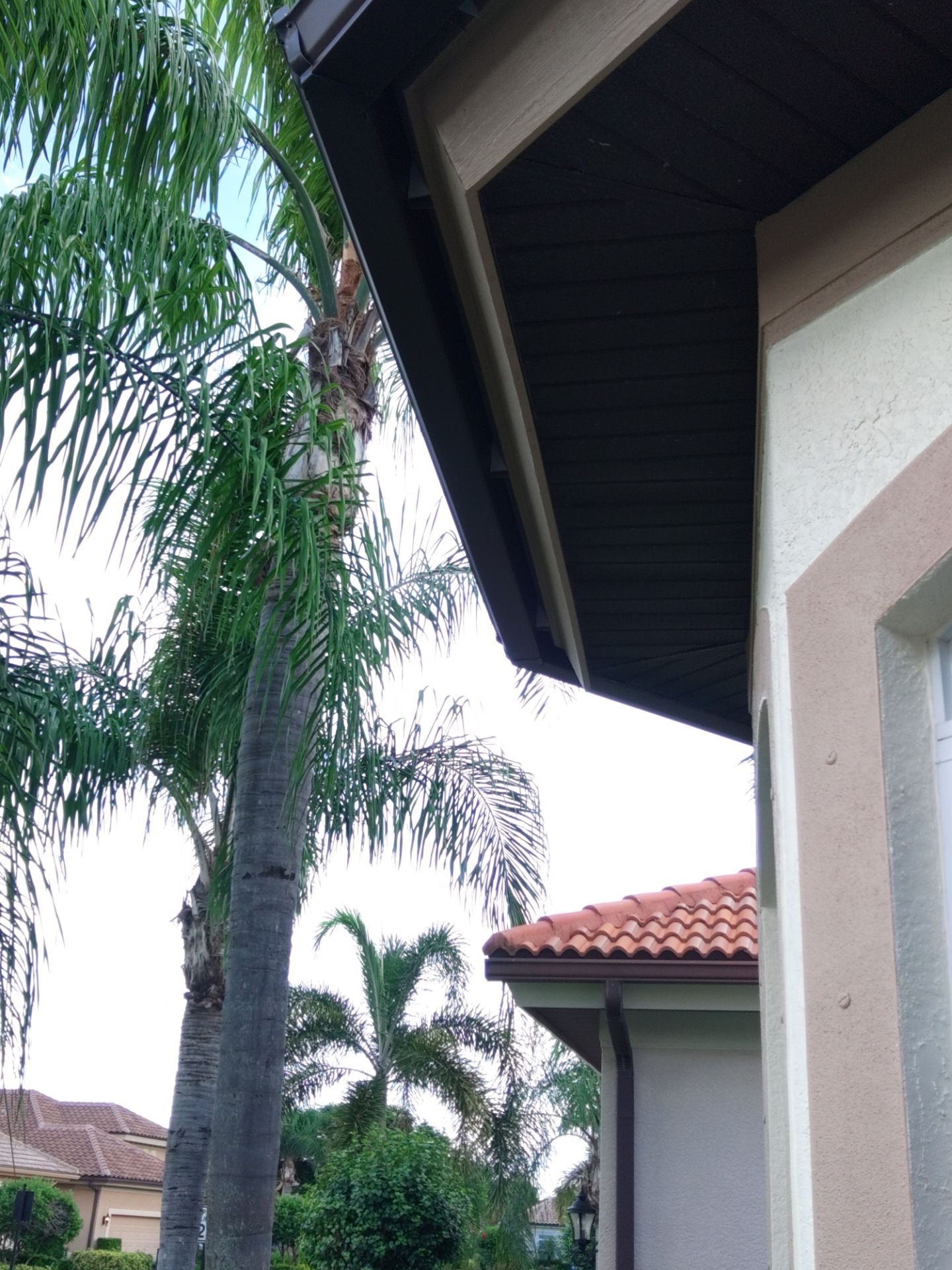 Gutter Inspection and Repair in Naples FL by Gutter Professors