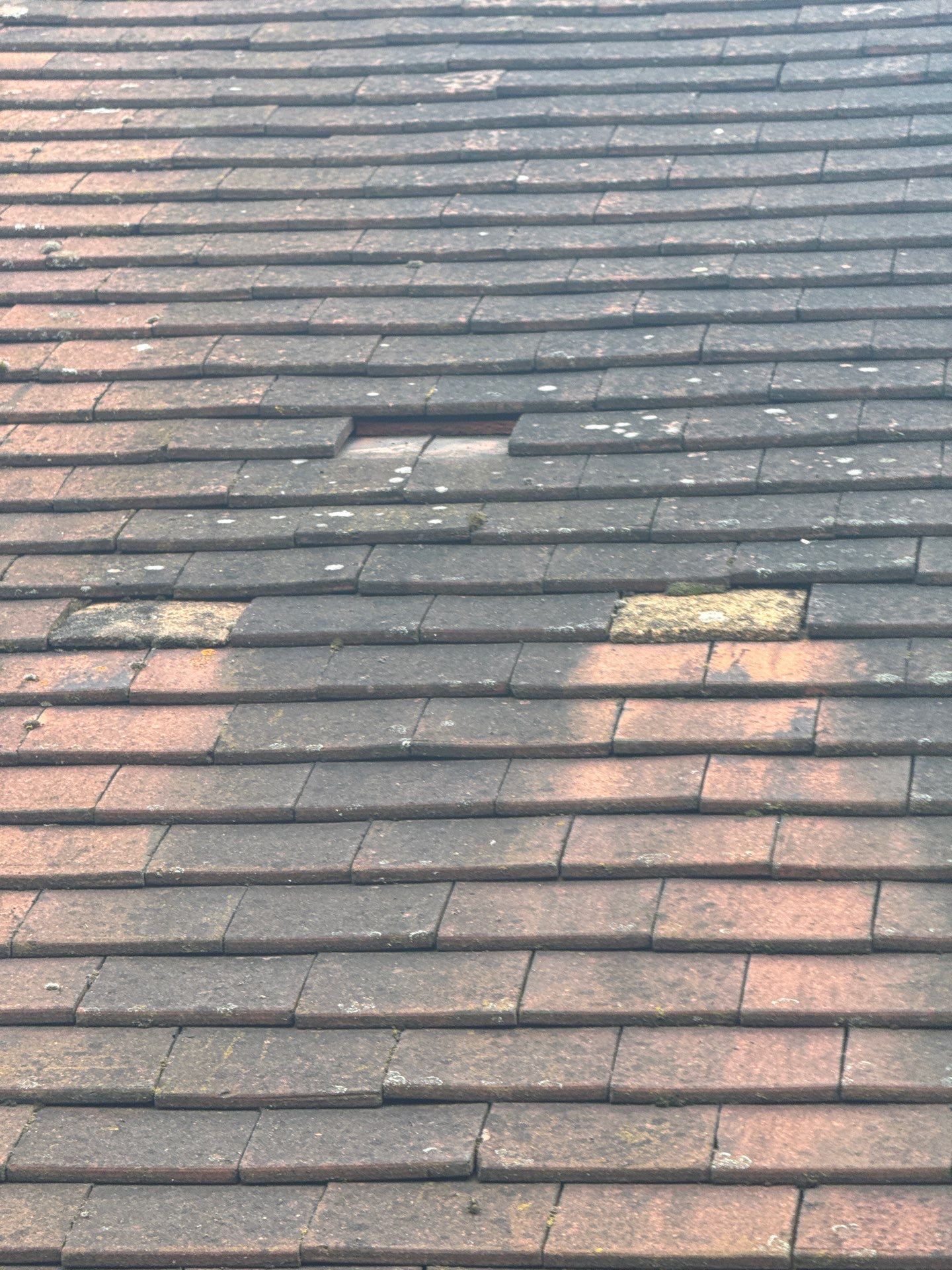 Exterior Clean - Roof - Patio - Driveway using honda 21 ltr/min by Ges Exterior Cleaning ltd