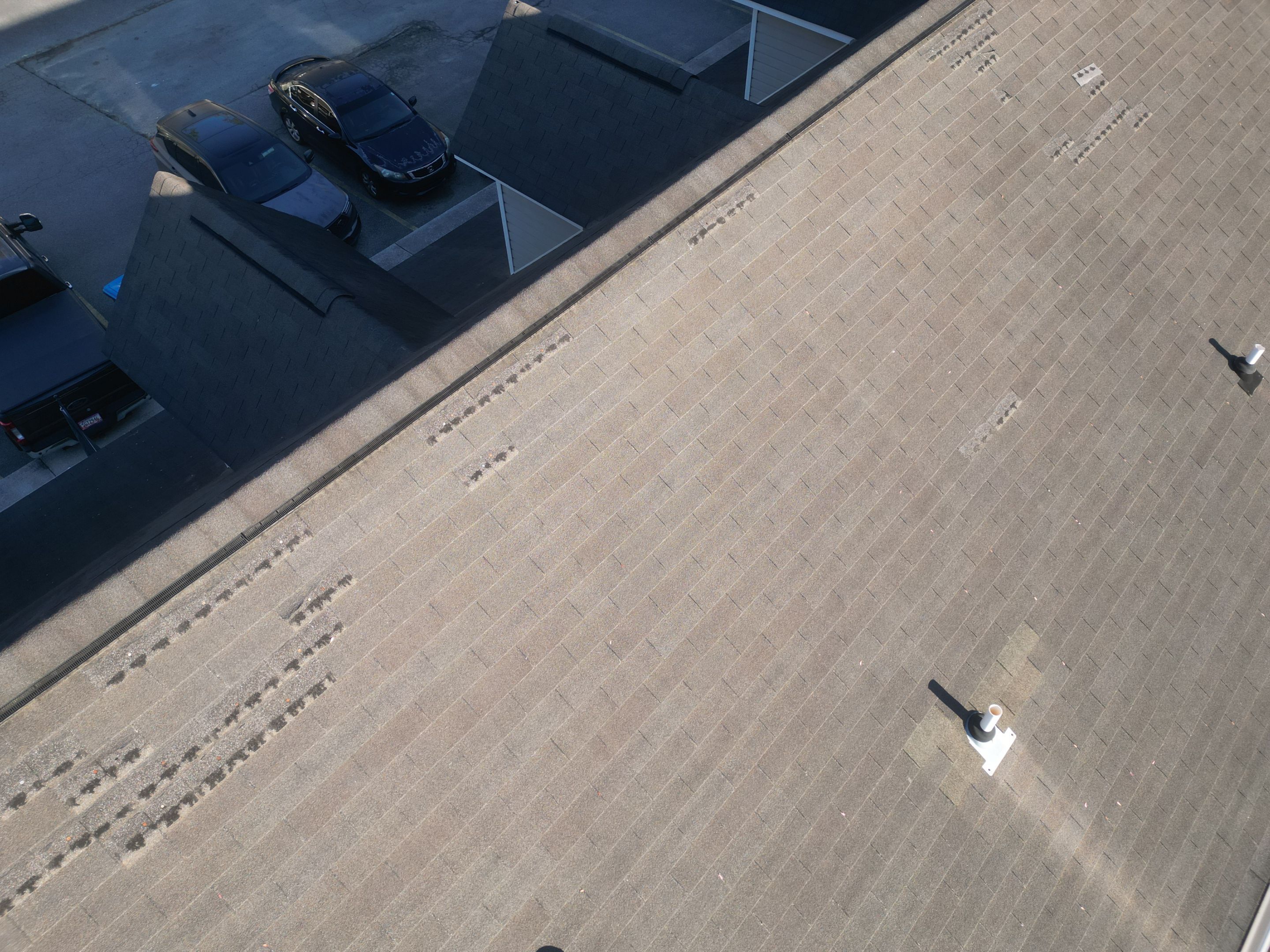 Project in Rincon by Talya Roofing