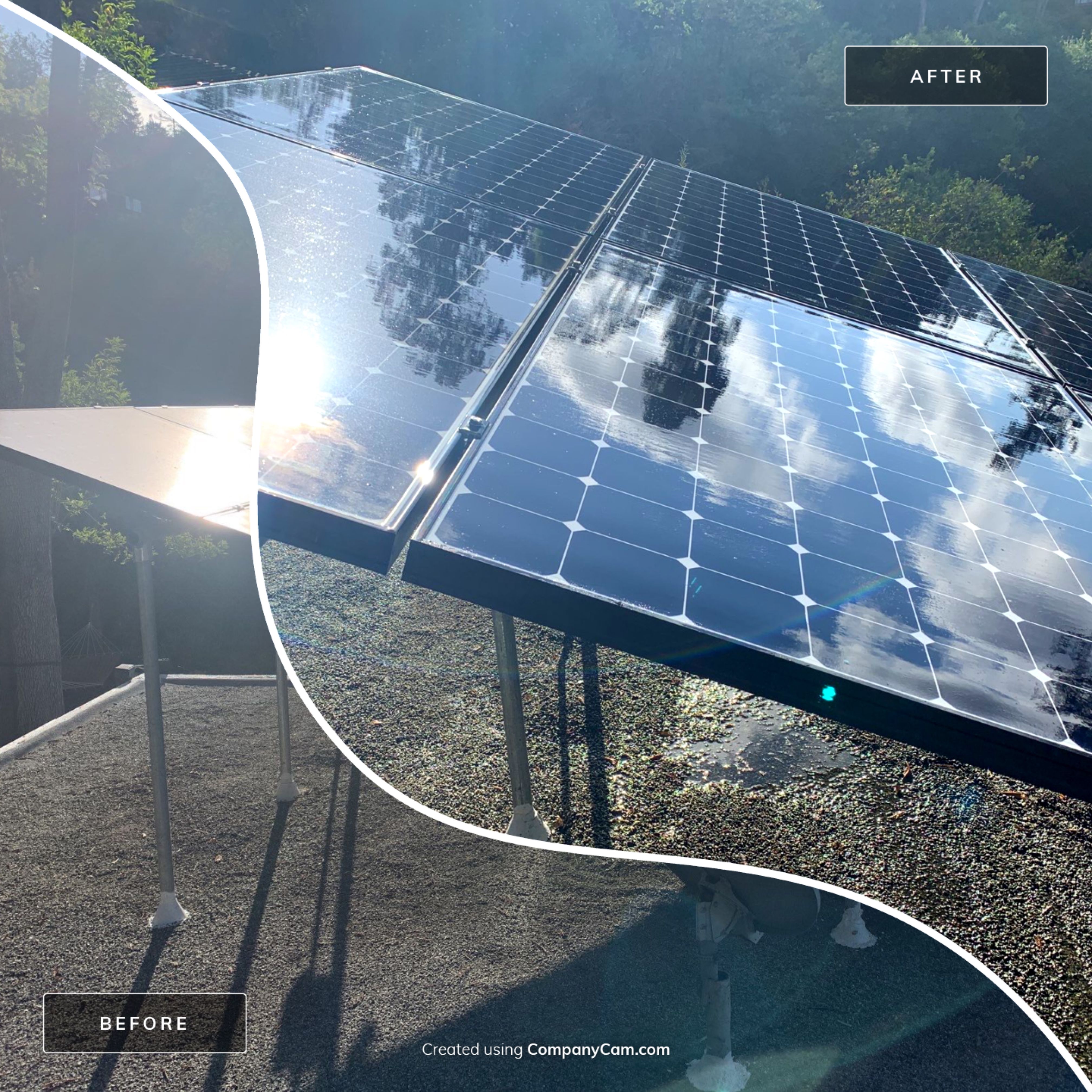 Elise Hurwitz’ Window Clean by SpotFree Window Cleaning