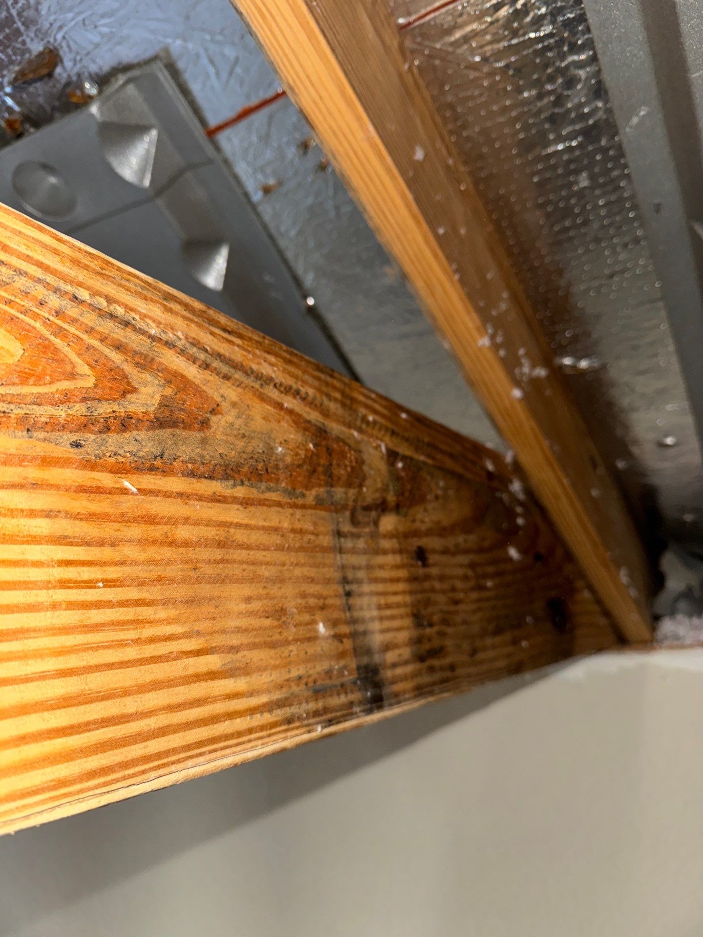 Mold Remediation Job in Katy by Team Home Solutions
