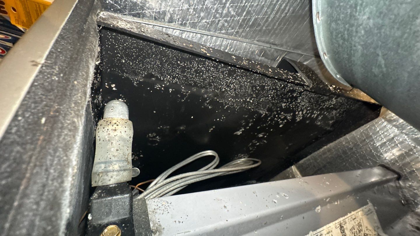Air Duct Cleaning in Groveland by Hygienic Air, Inc