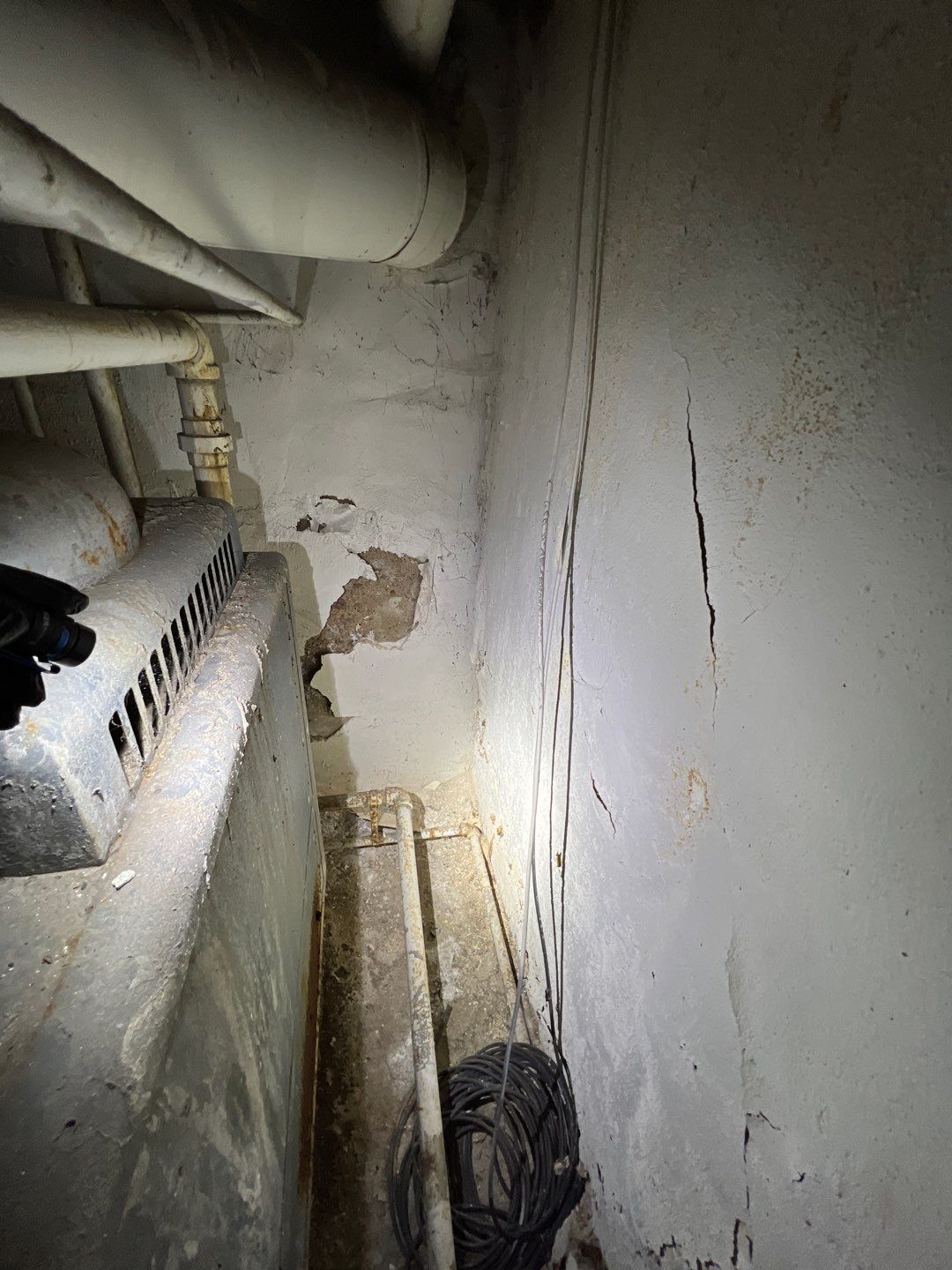 Mold Remediation by Accountable Home Services