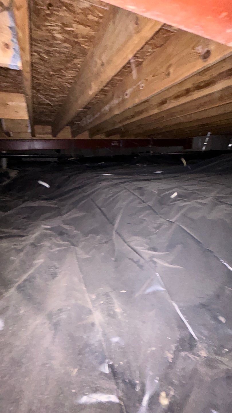 Mold Damage by Accountable Home Services