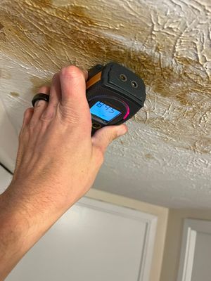 Small Mold Remediation from a past Roof Leak