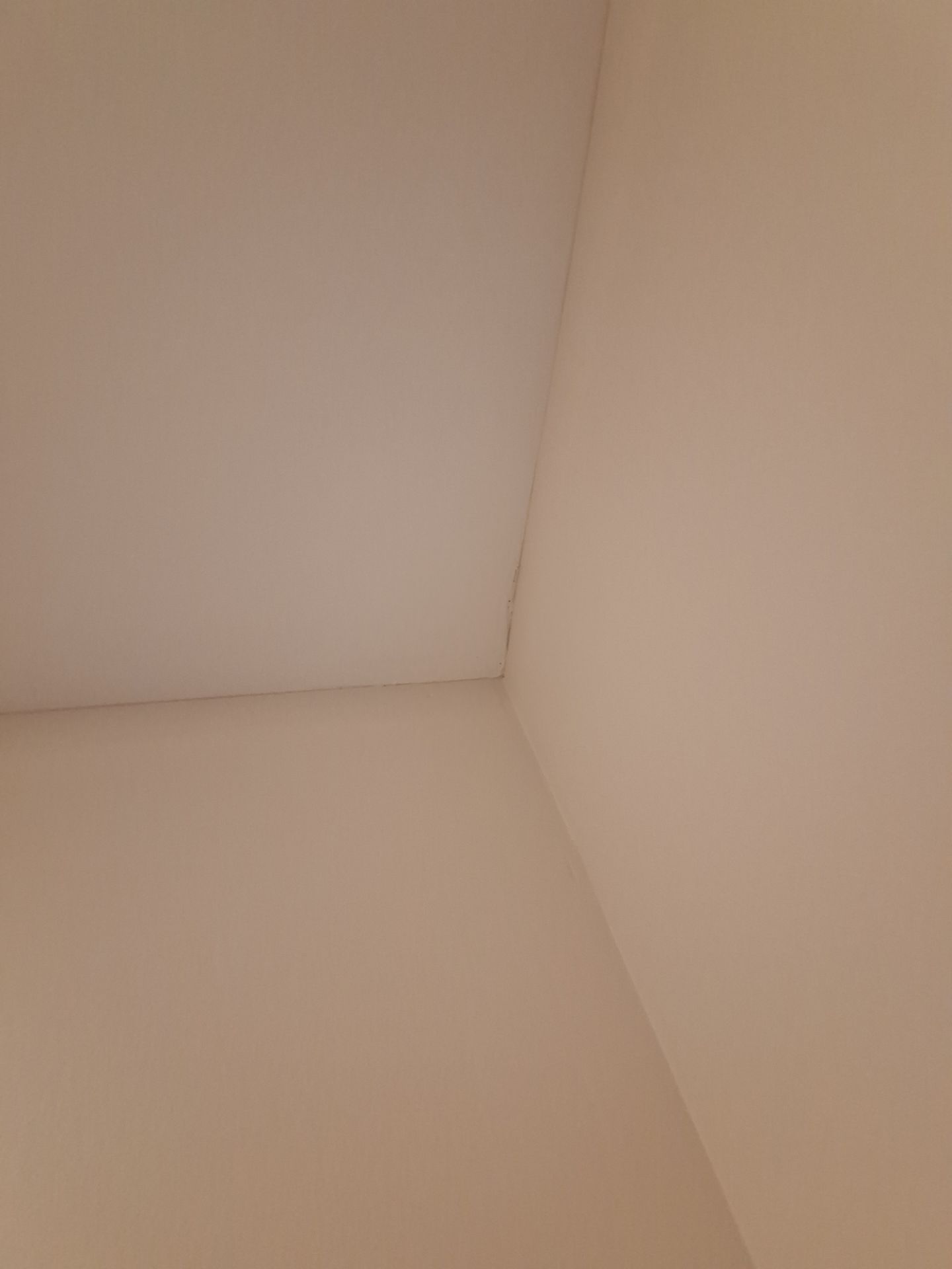 Interior Painting Color Match and Refresh!! by Gordon Painting